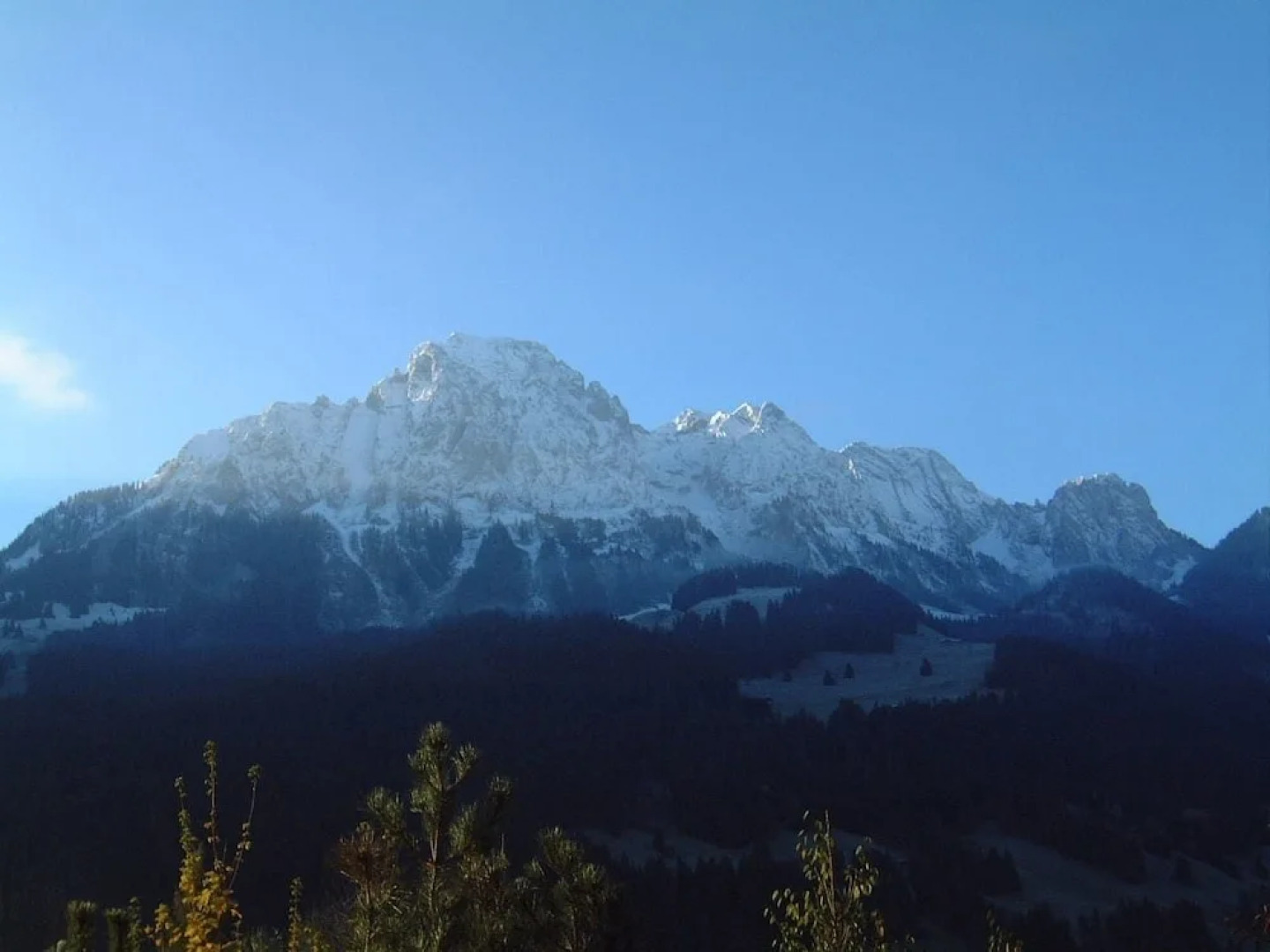 Gstaad - Luxury Flat in Rougemont