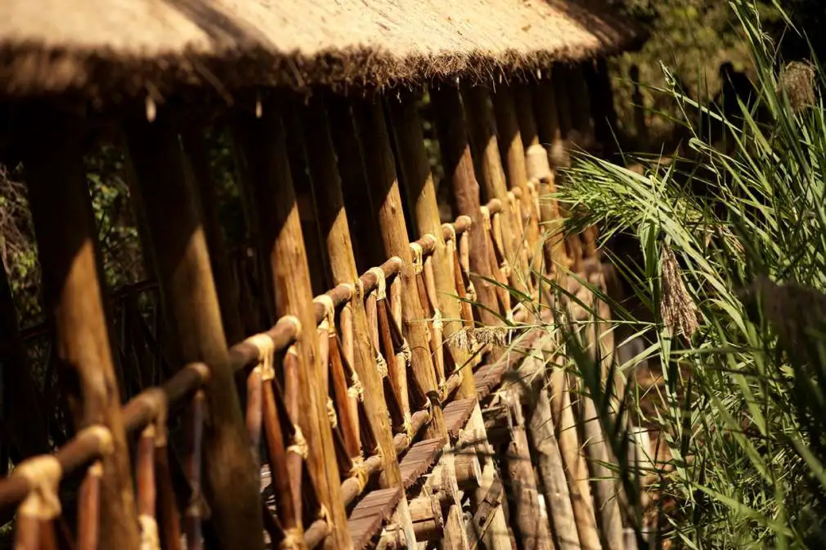 Jambo Impala EcoLodge