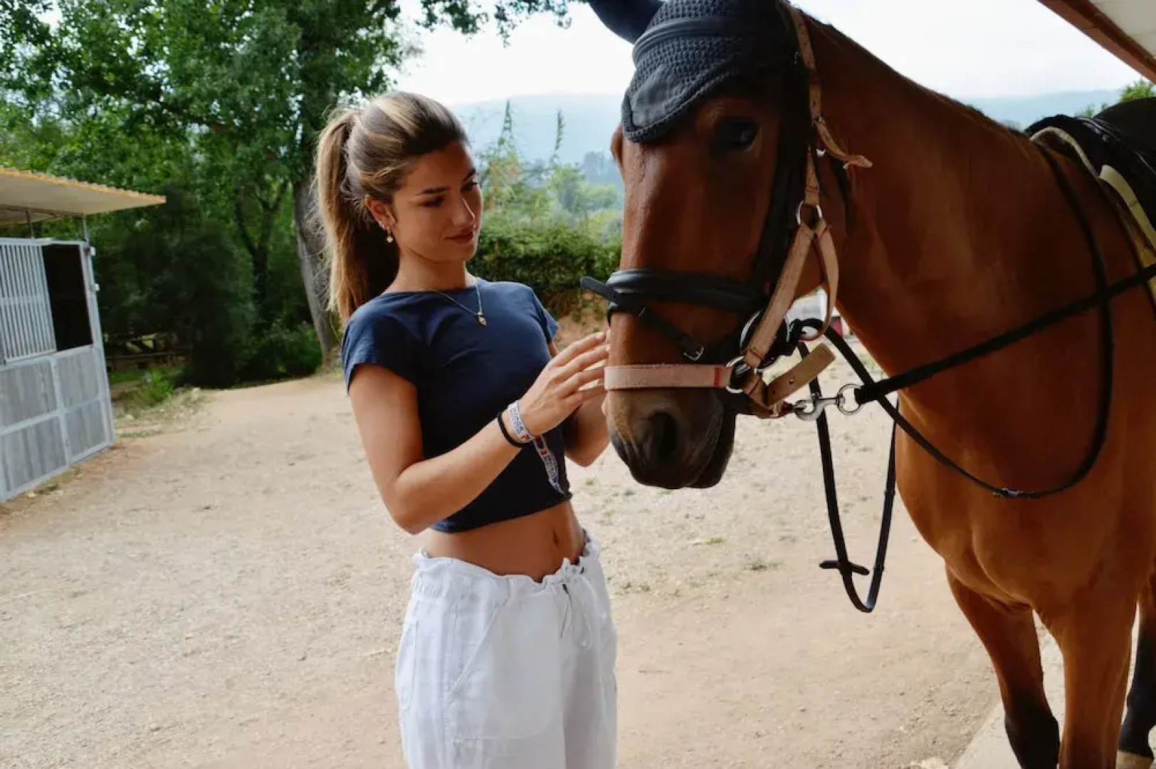 Bed and Breakfast Equitare Rural