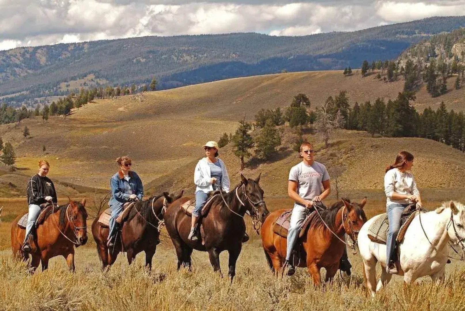 Roosevelt Lodge & Cabins
