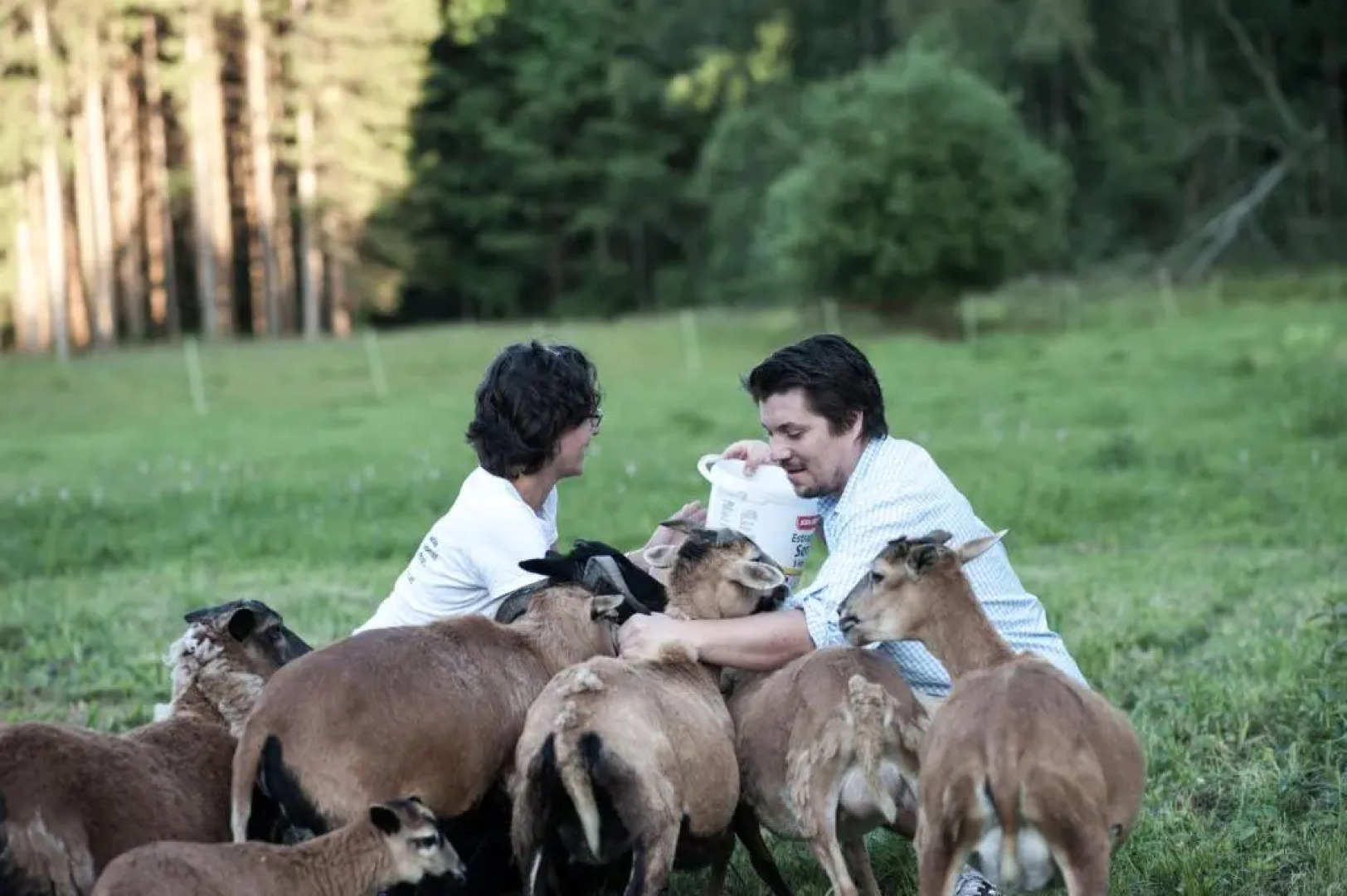 Grüne Wiese - Gäste-Minibungalow in der Edermühle