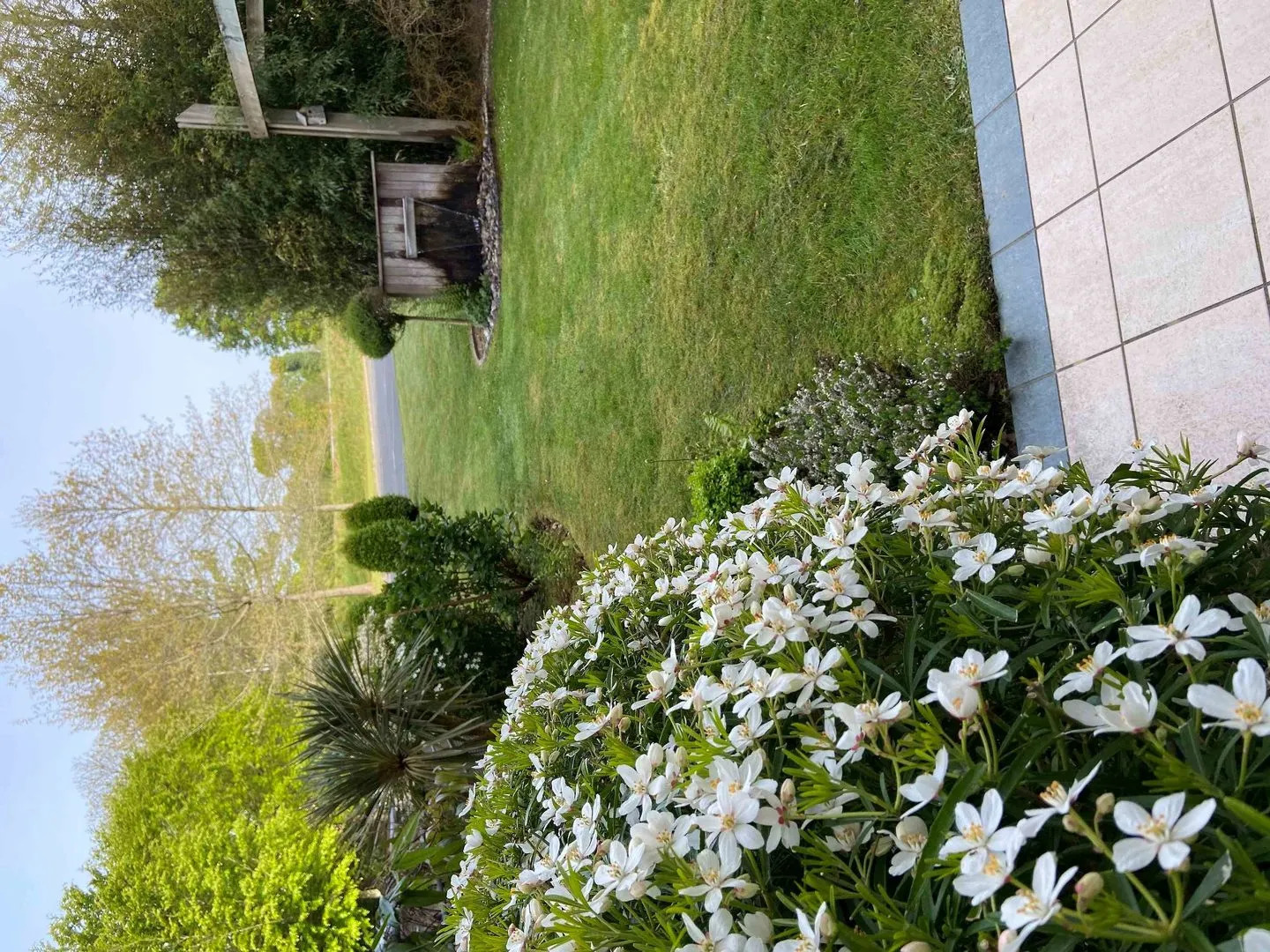 ibis Styles Pontivy Centre Bretagne