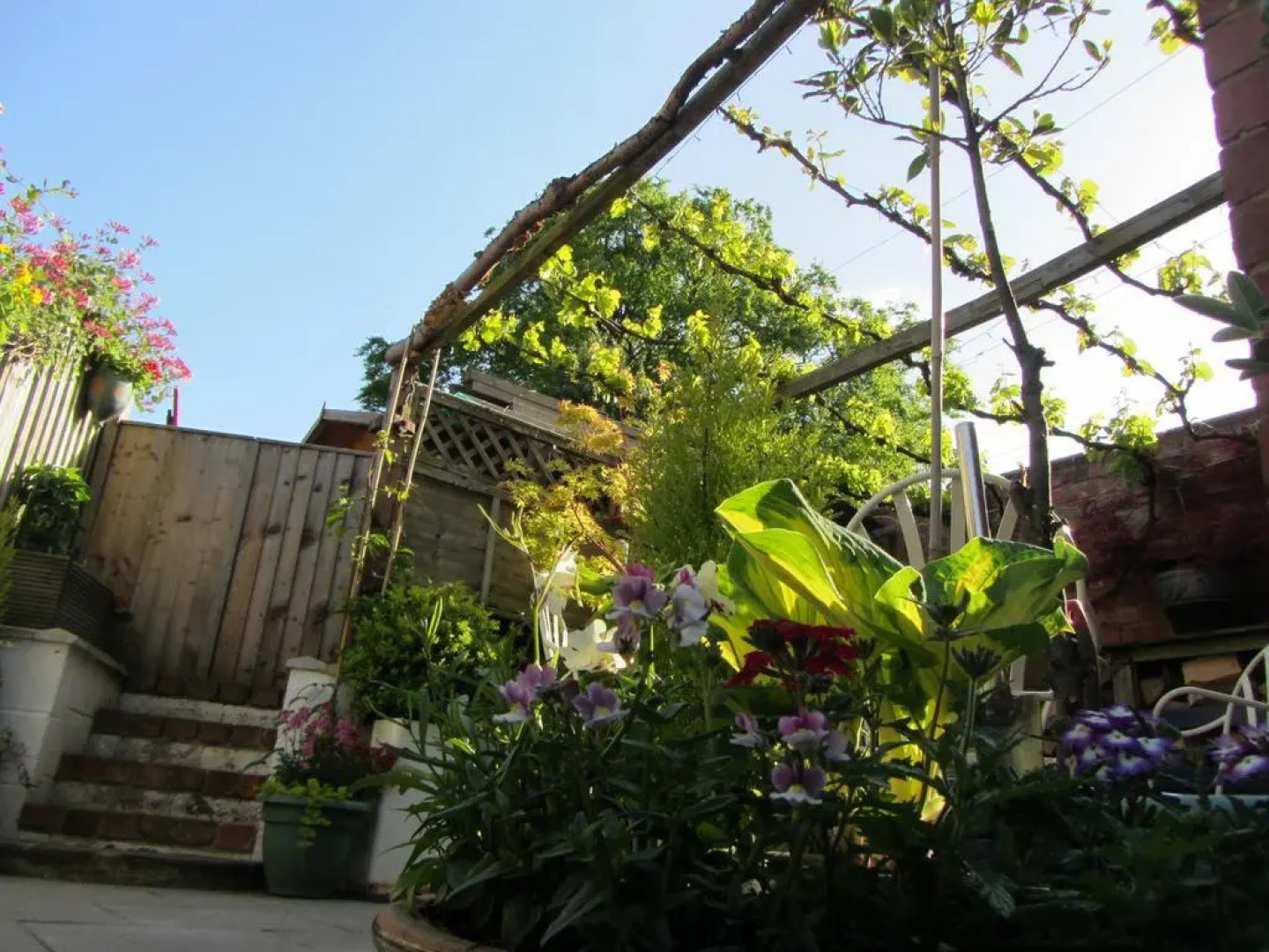 Treetops Guest House