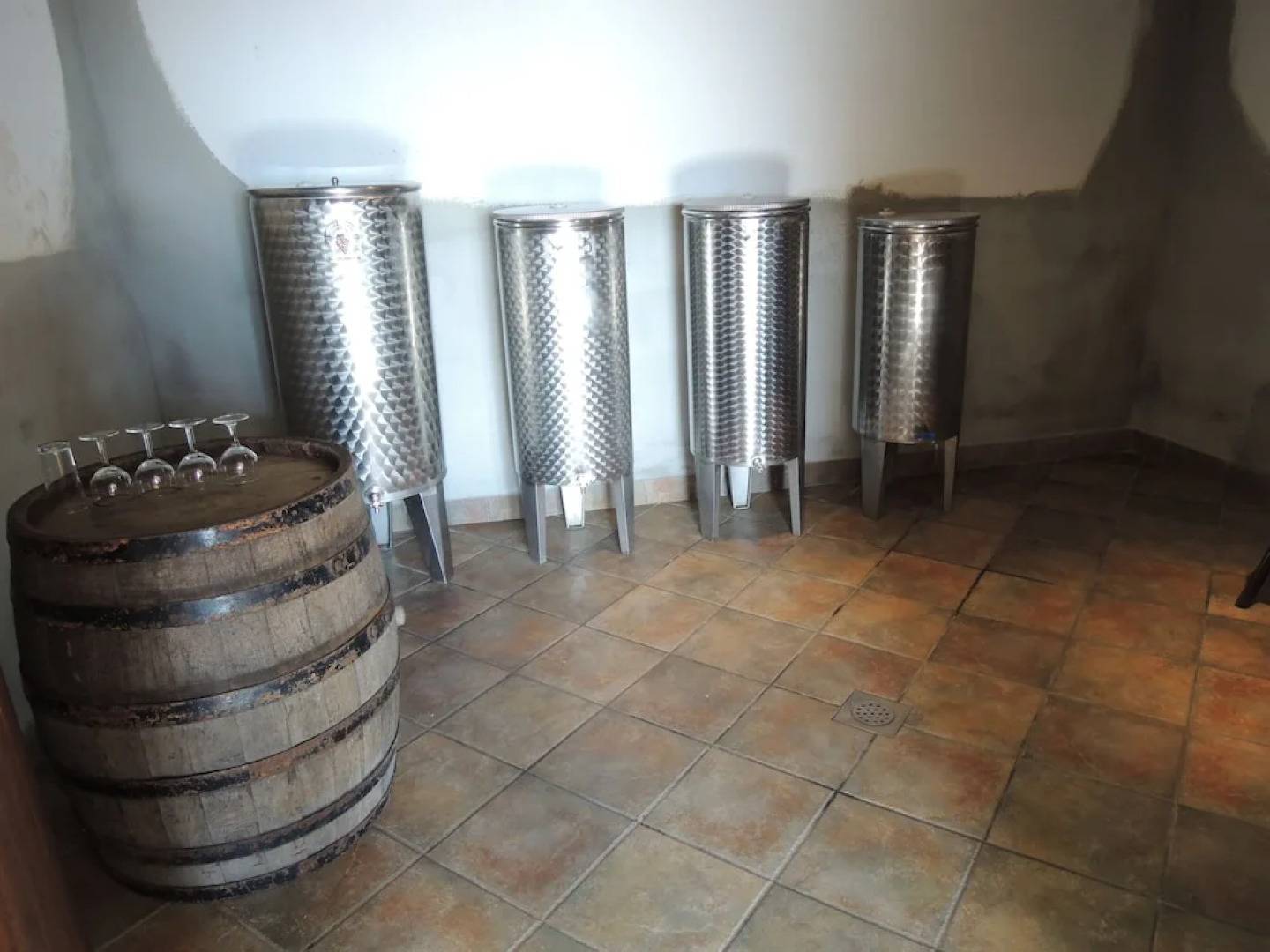 Vineyard cottage Janko in Metka