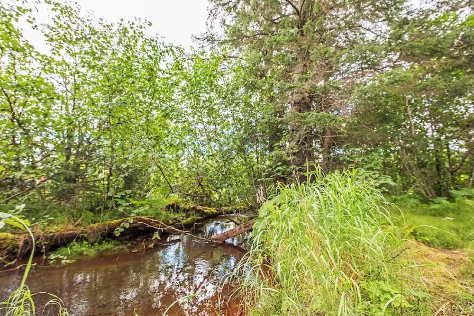 Secluded Seward Home: Patio, 2 Mi to Kenai Fjords!