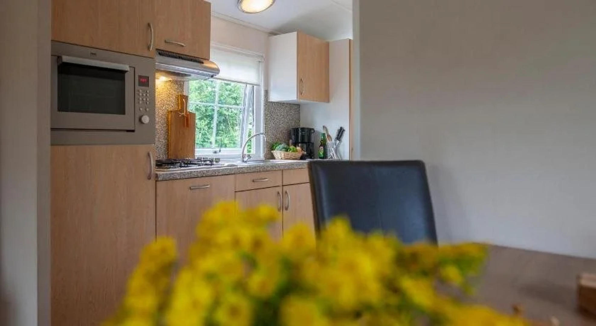 Vakantiepark Witterzomer