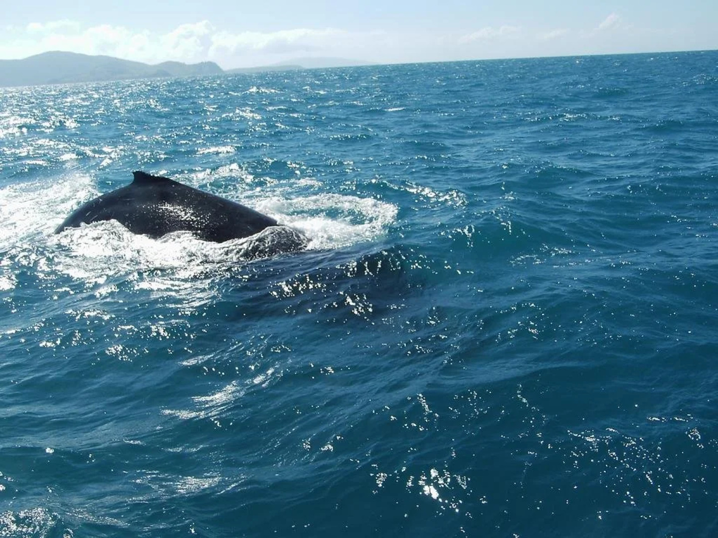 St Bees Island Resort