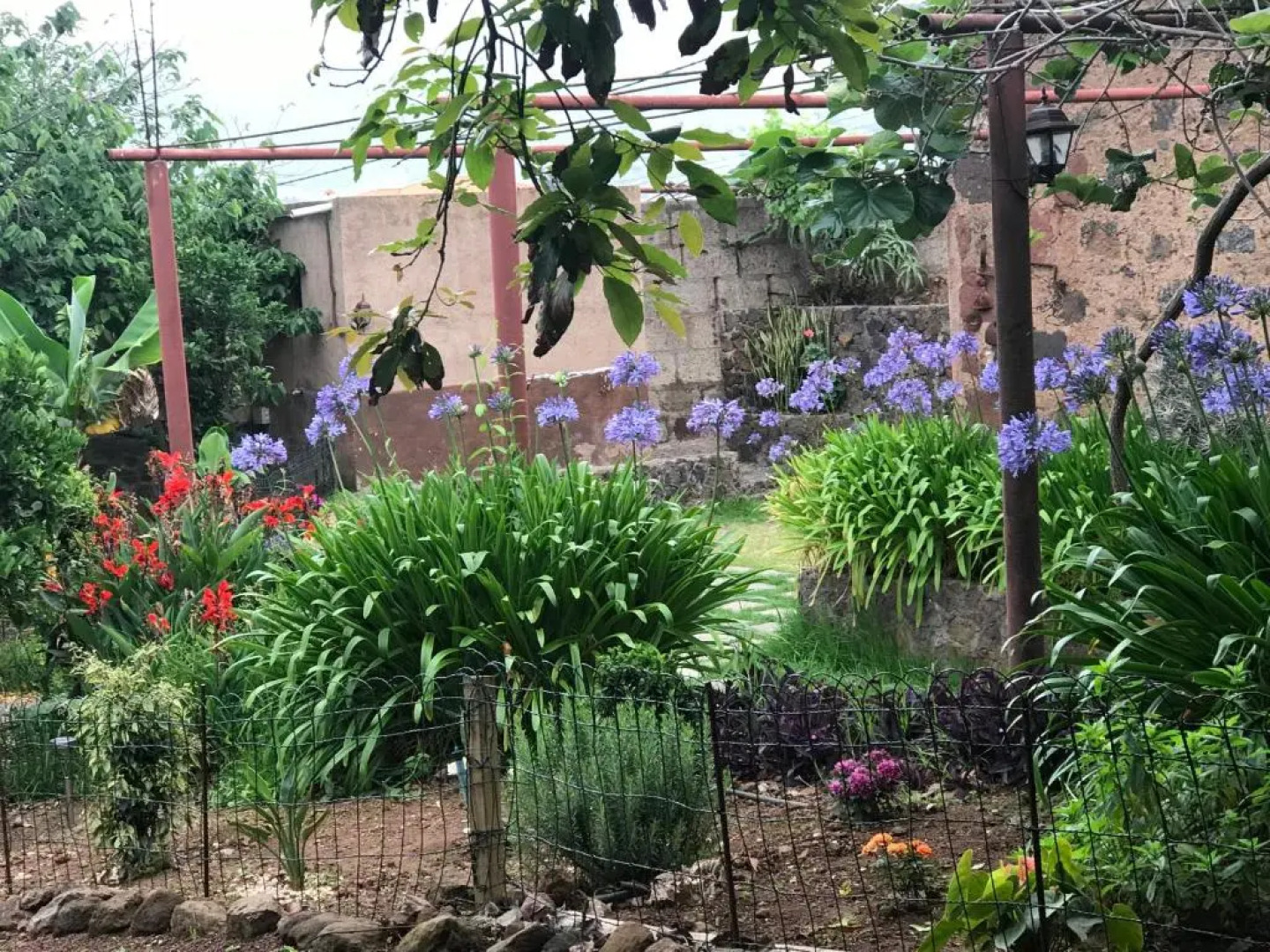 Finca El Vergel Rural