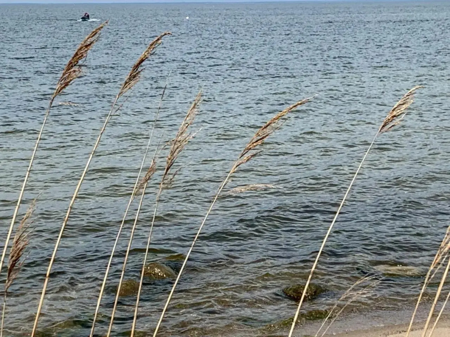 Pokoje Gościnne Wiola