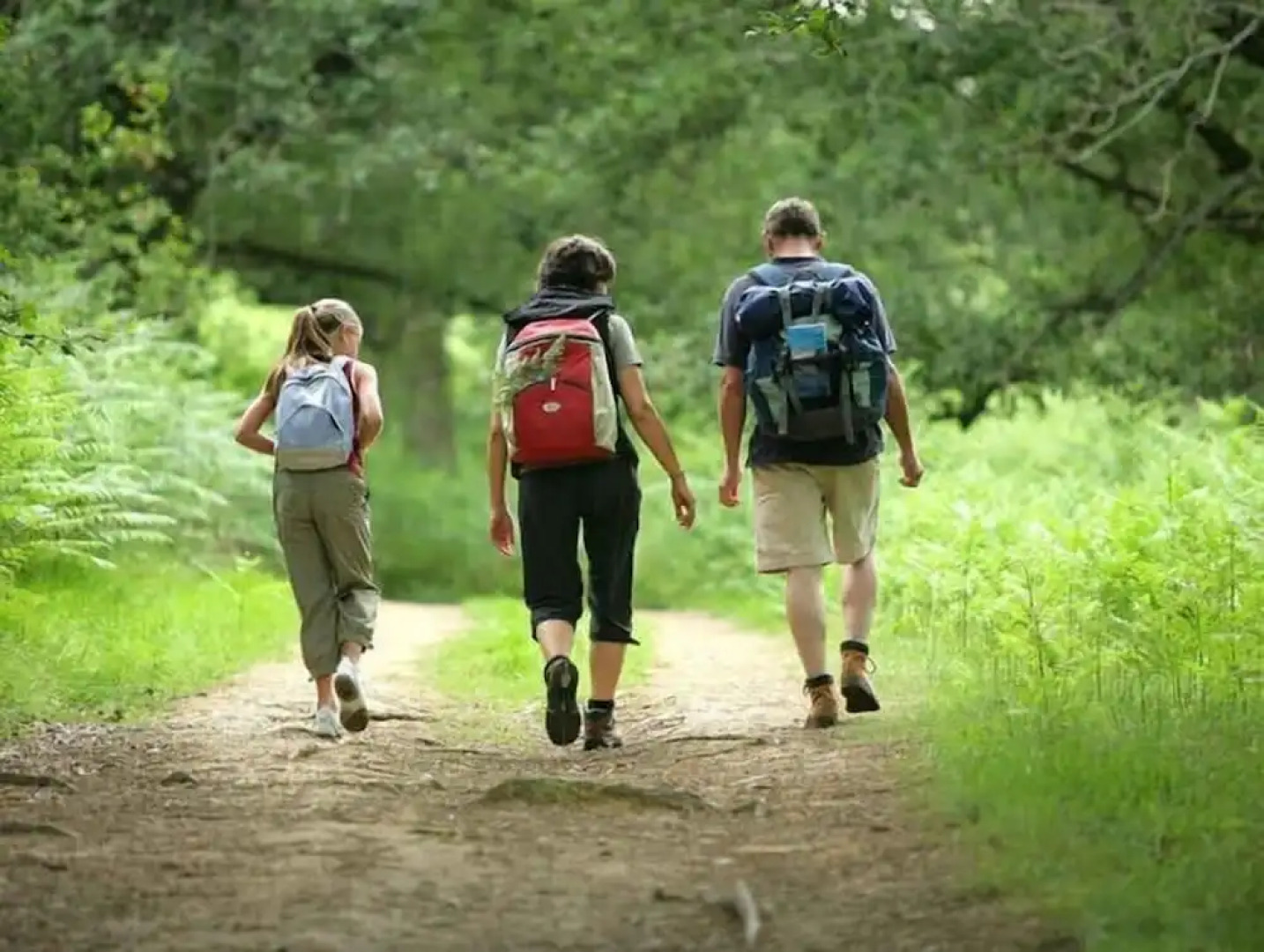 Le Manoir de Placy - Bed and Breakfast