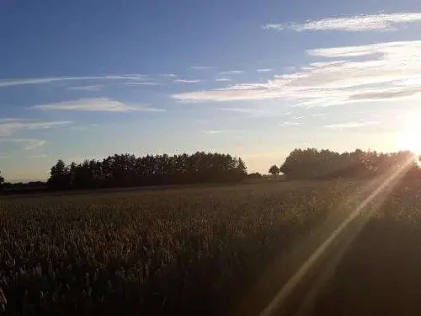 Landpension Oderbruch