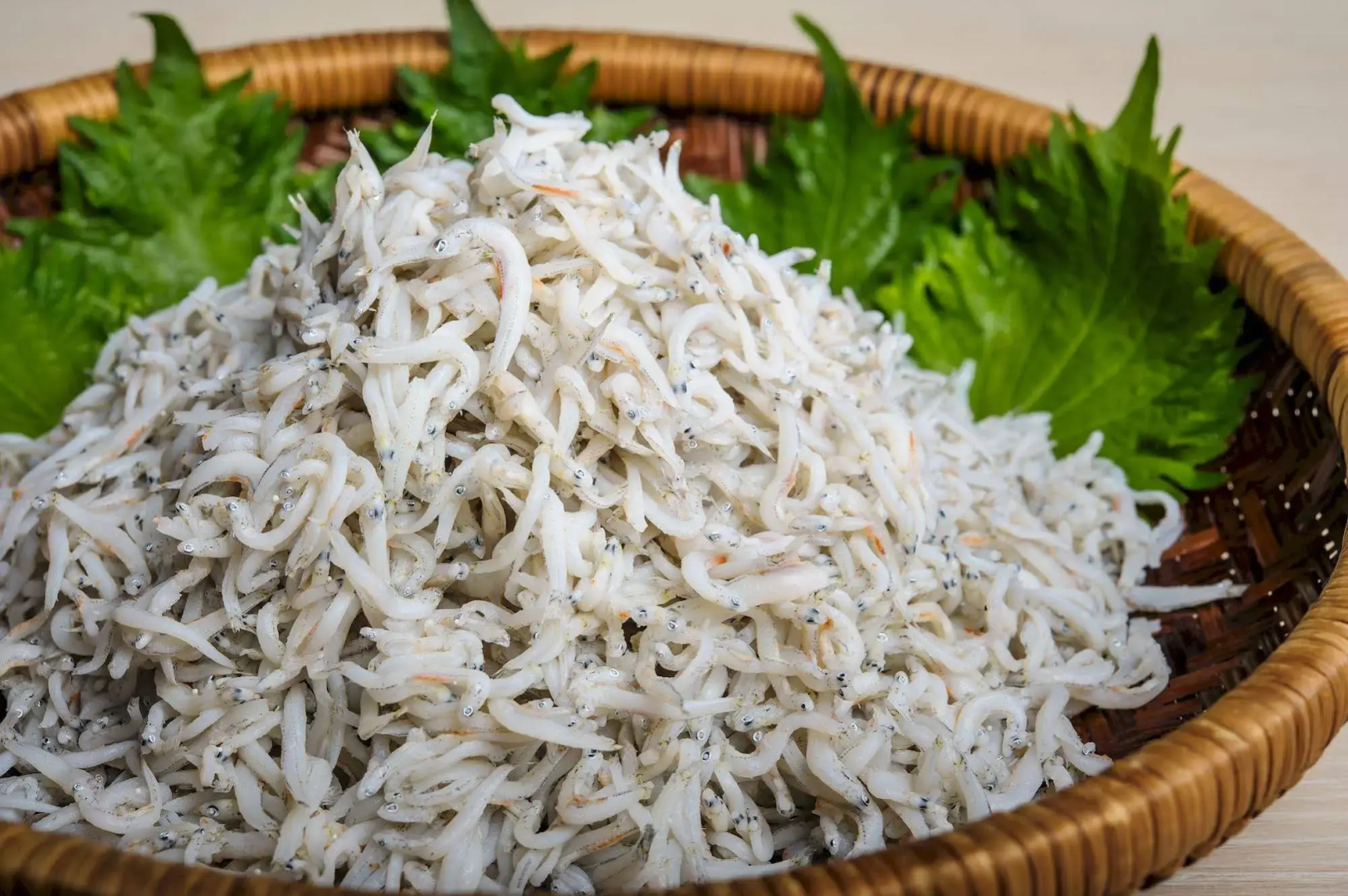 Sotetsu Fresa Inn Fujisawa-Minamiguchi