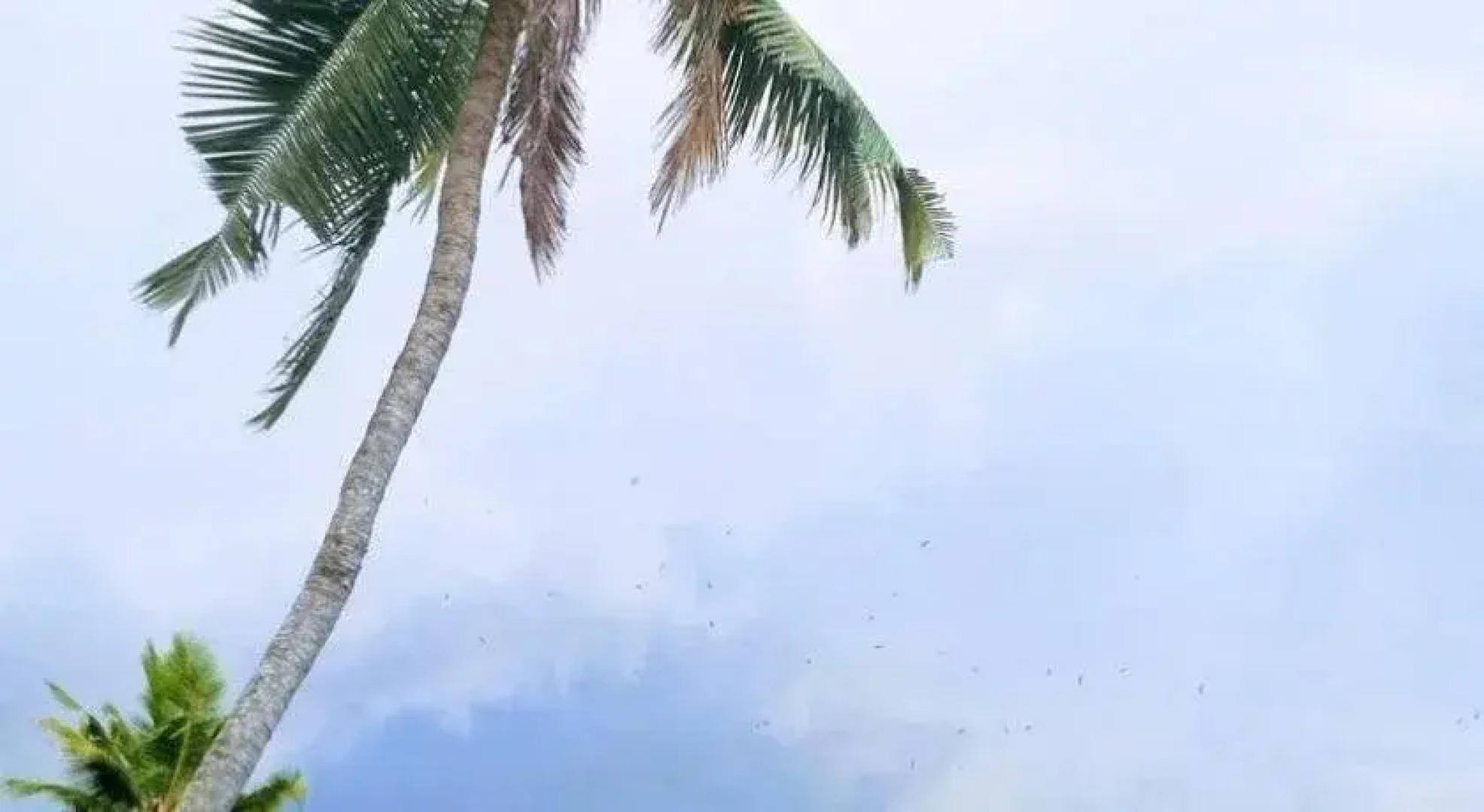 Vijaya Varma Beach Resort