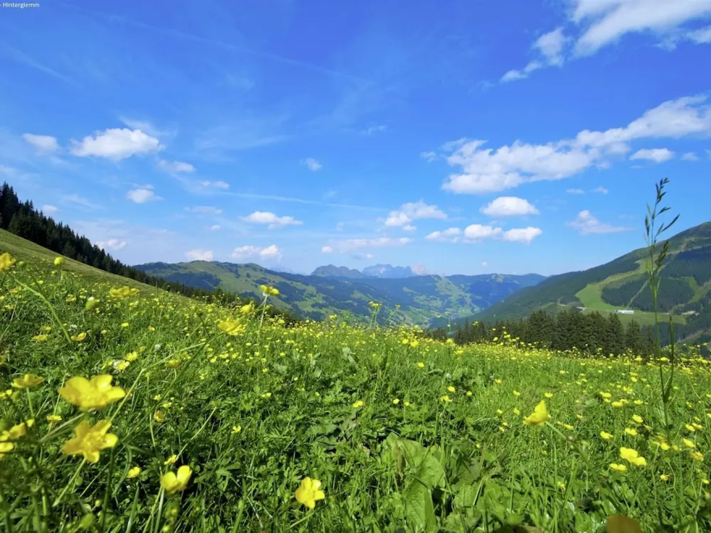 Chalet in Saalbach Near Ski Lift