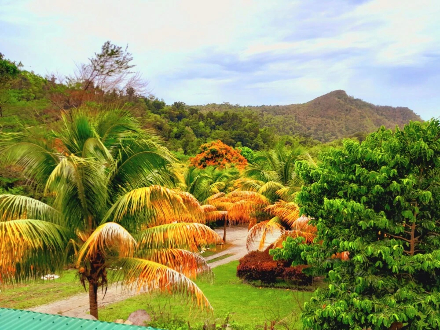 Pinard's Mountain Resort- Cottage 8