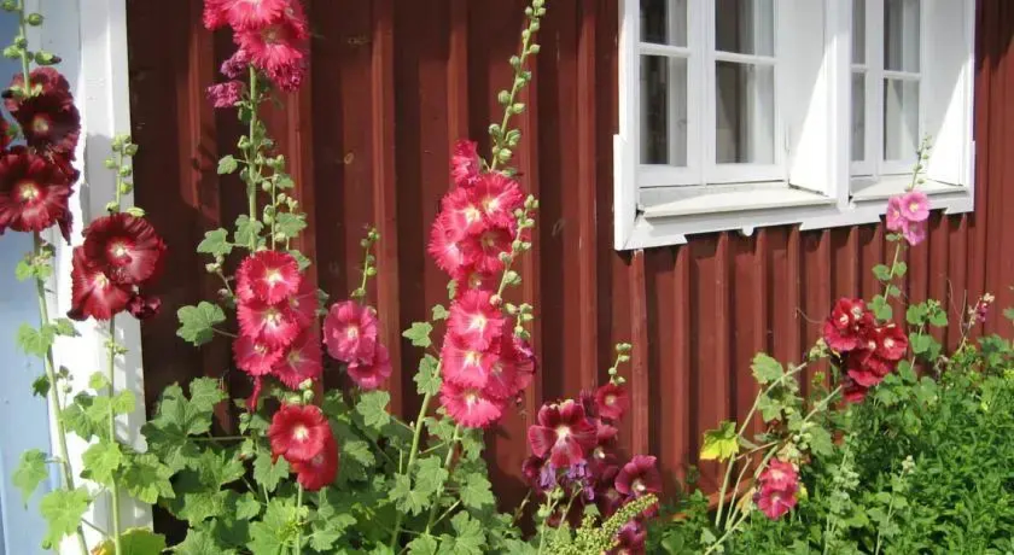 Spångagården Bed and Breakfast
