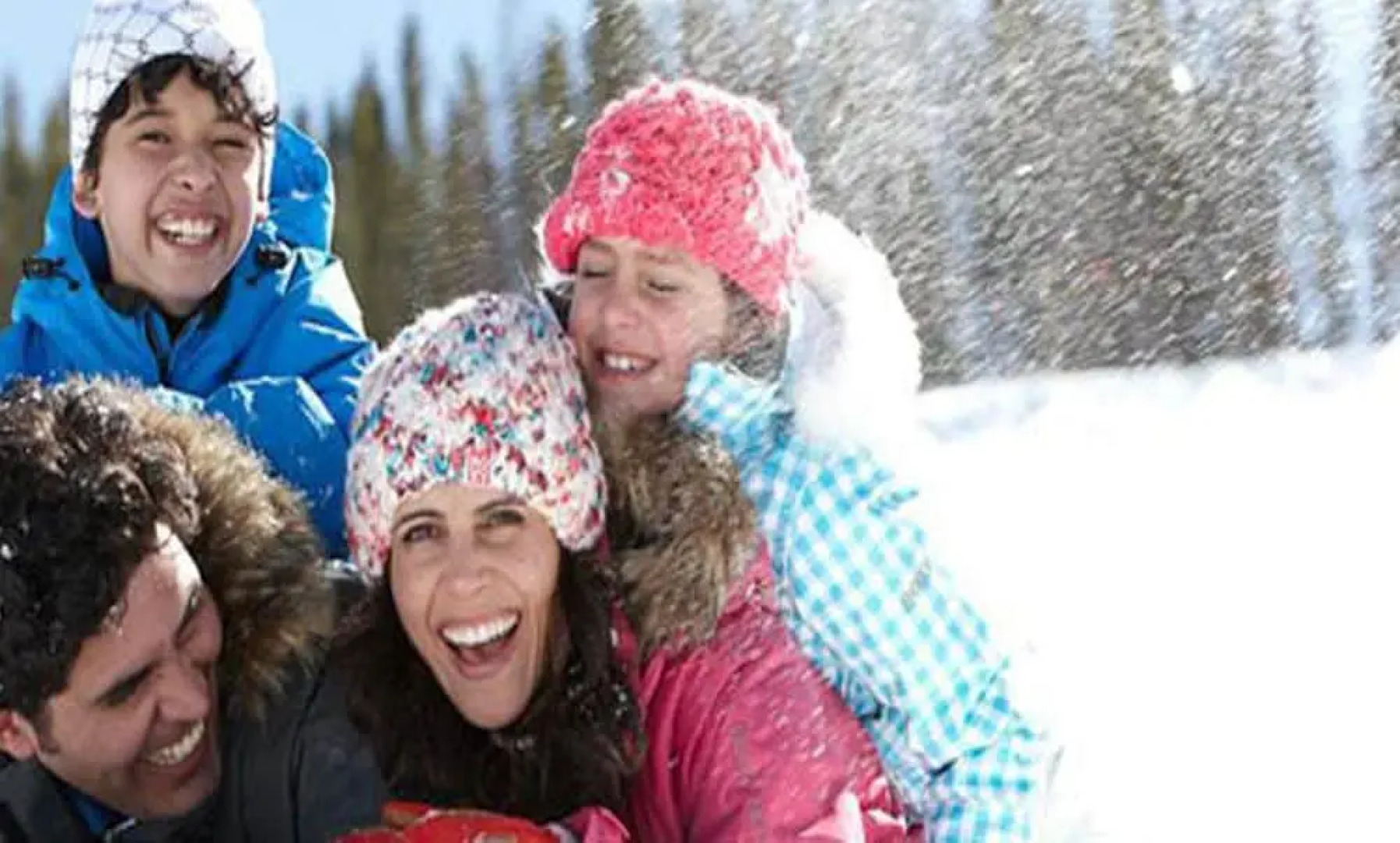 The Aspen Moose Vacation Cabin