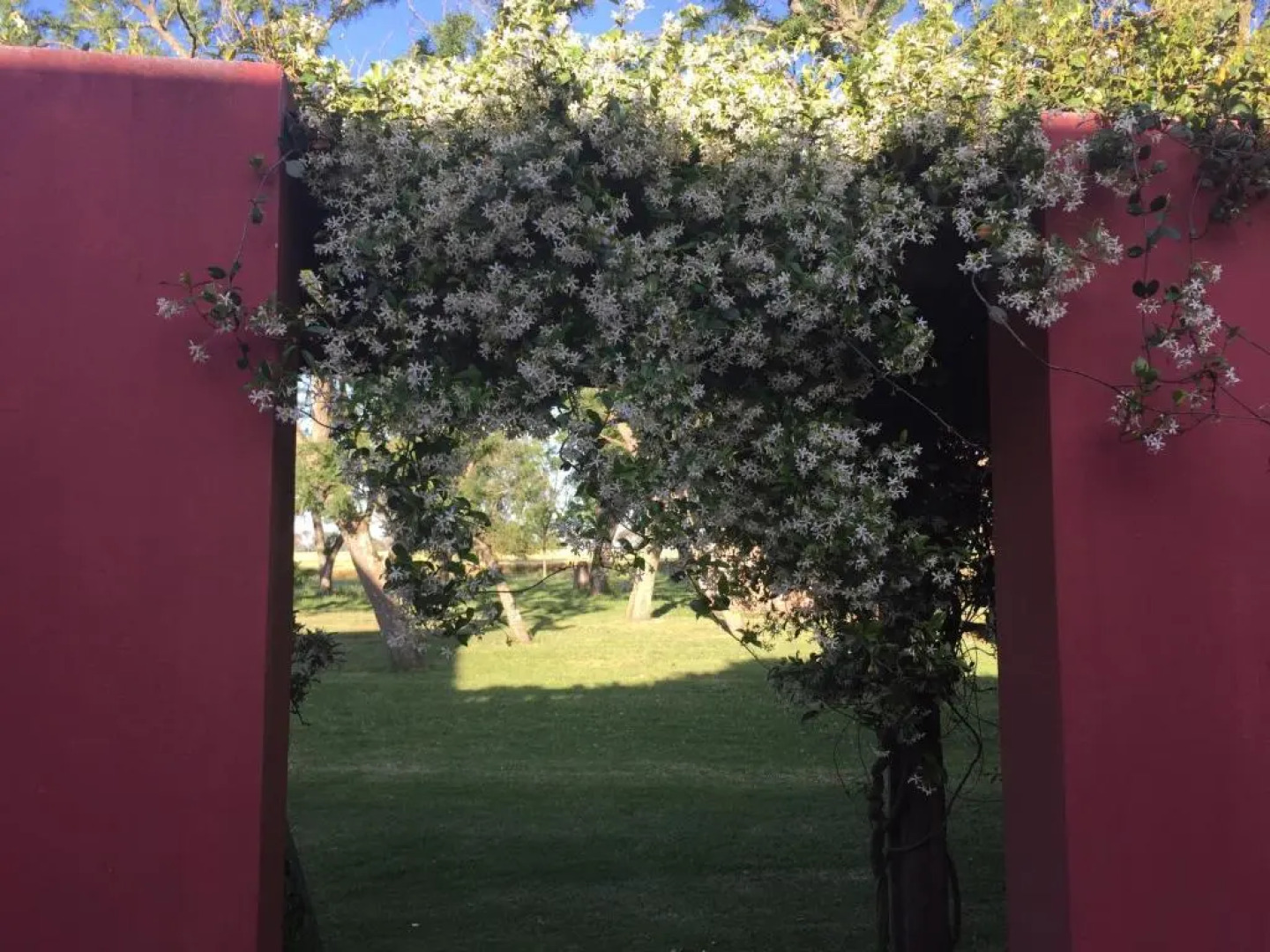 La Negrita Casa Hotel