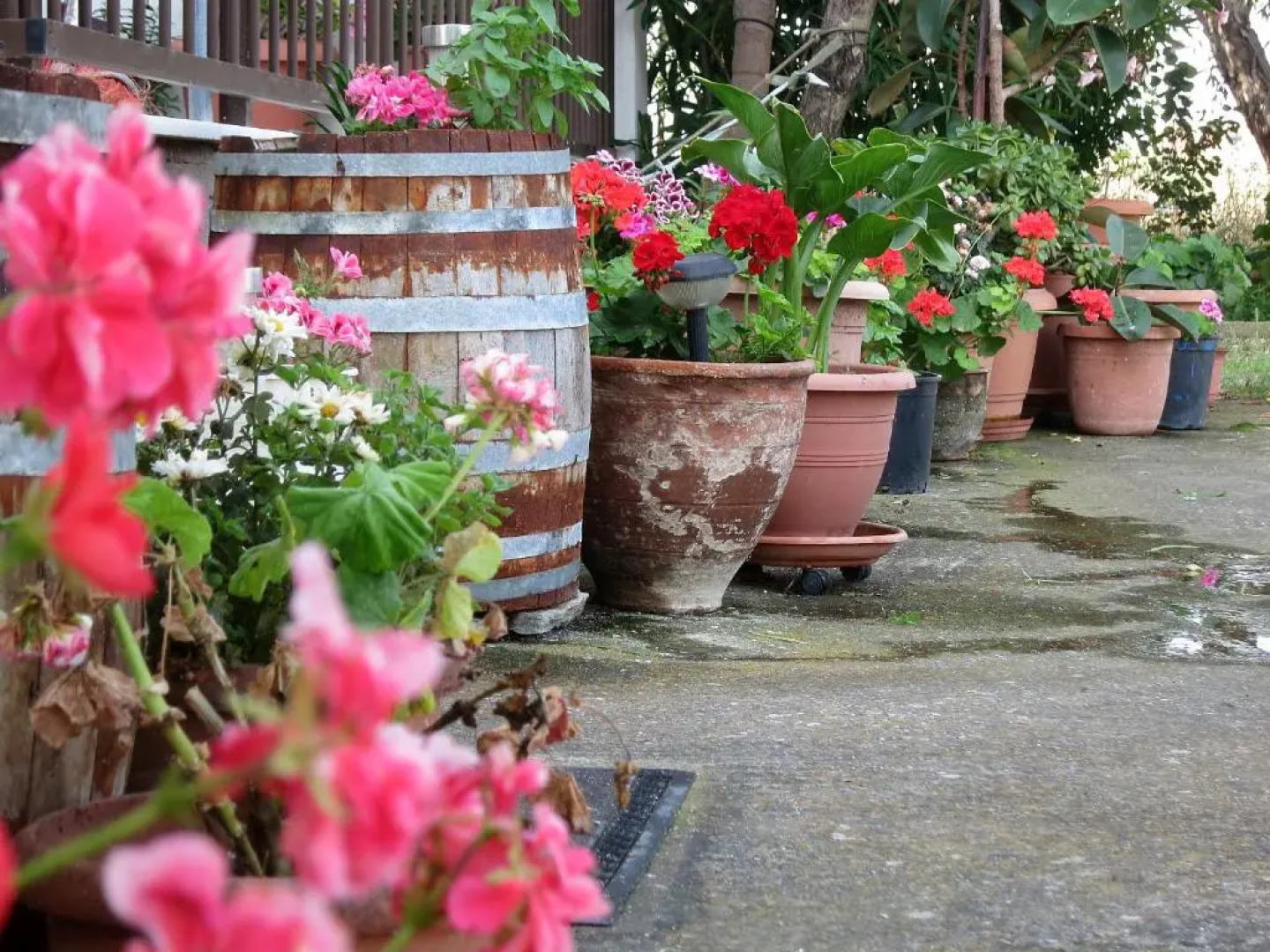 Thanasis Matsas Rooms