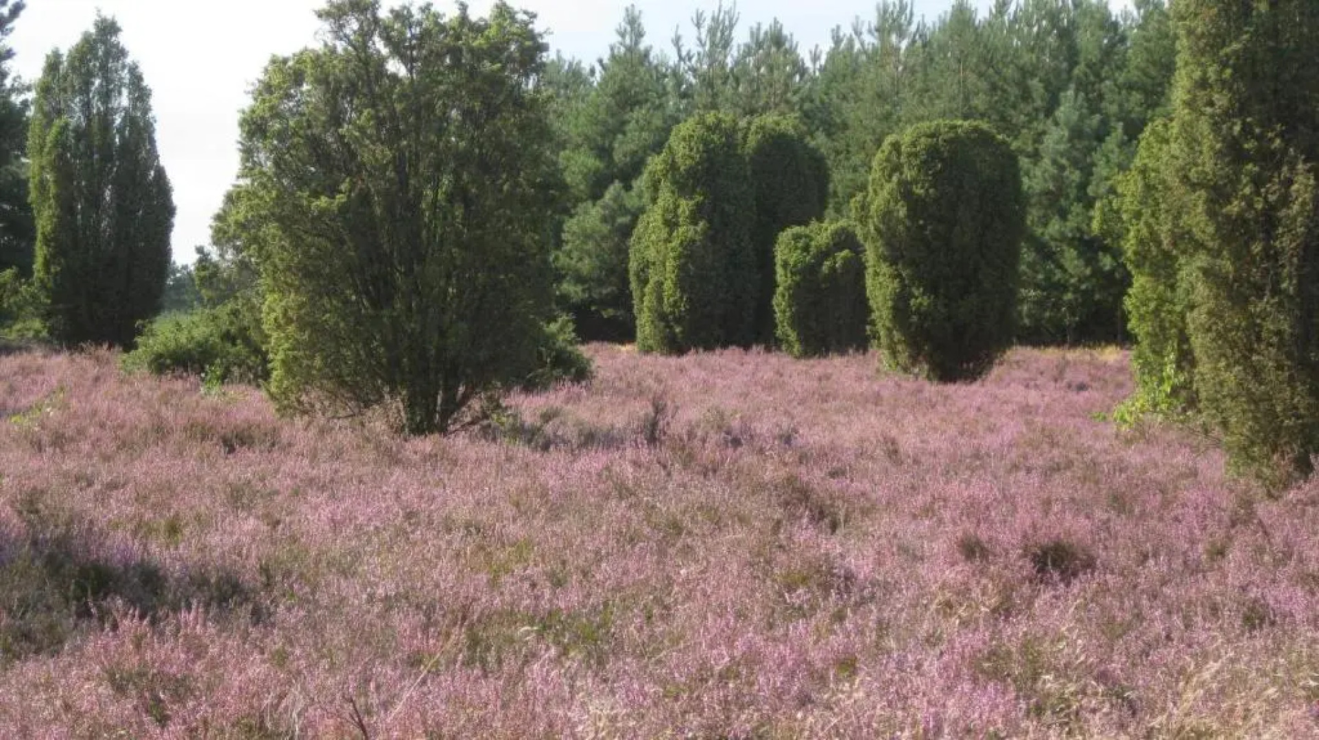 Landhotel Heiner Meyer