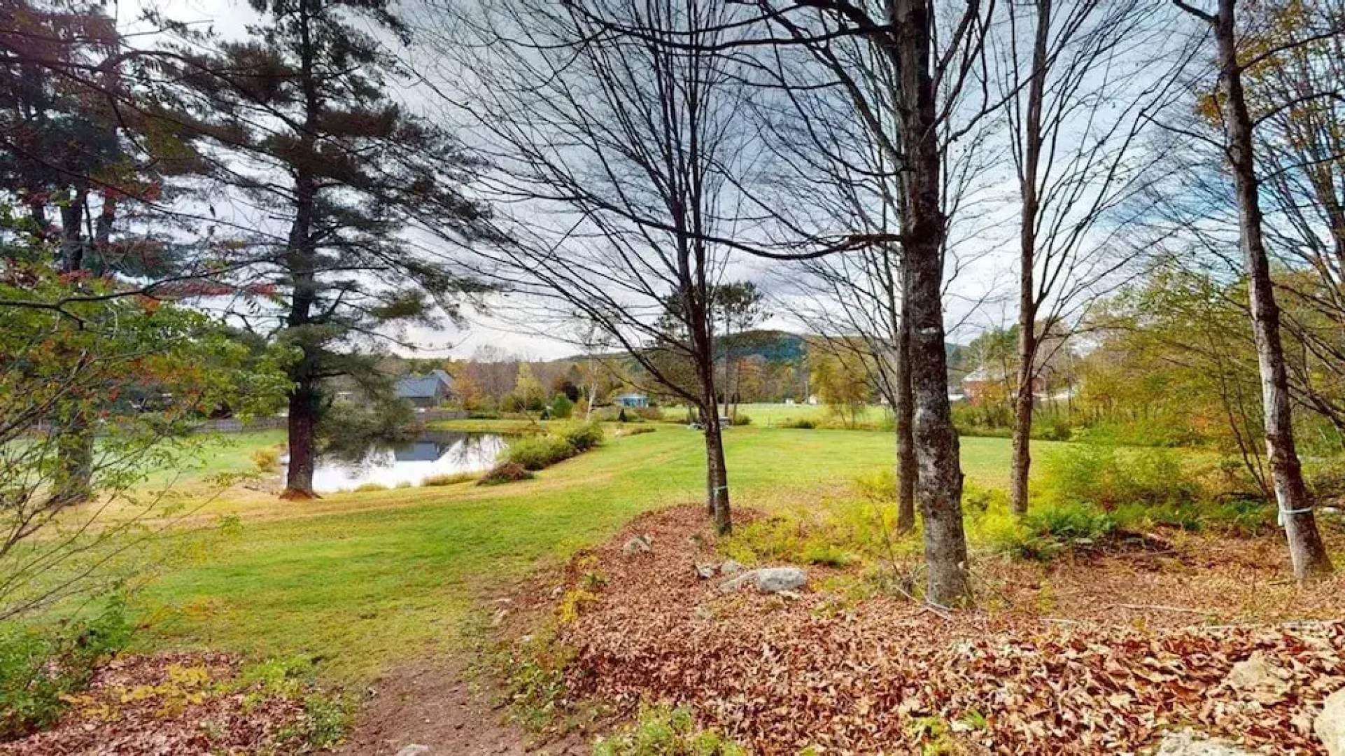 Pond View Cabin in Chittenden