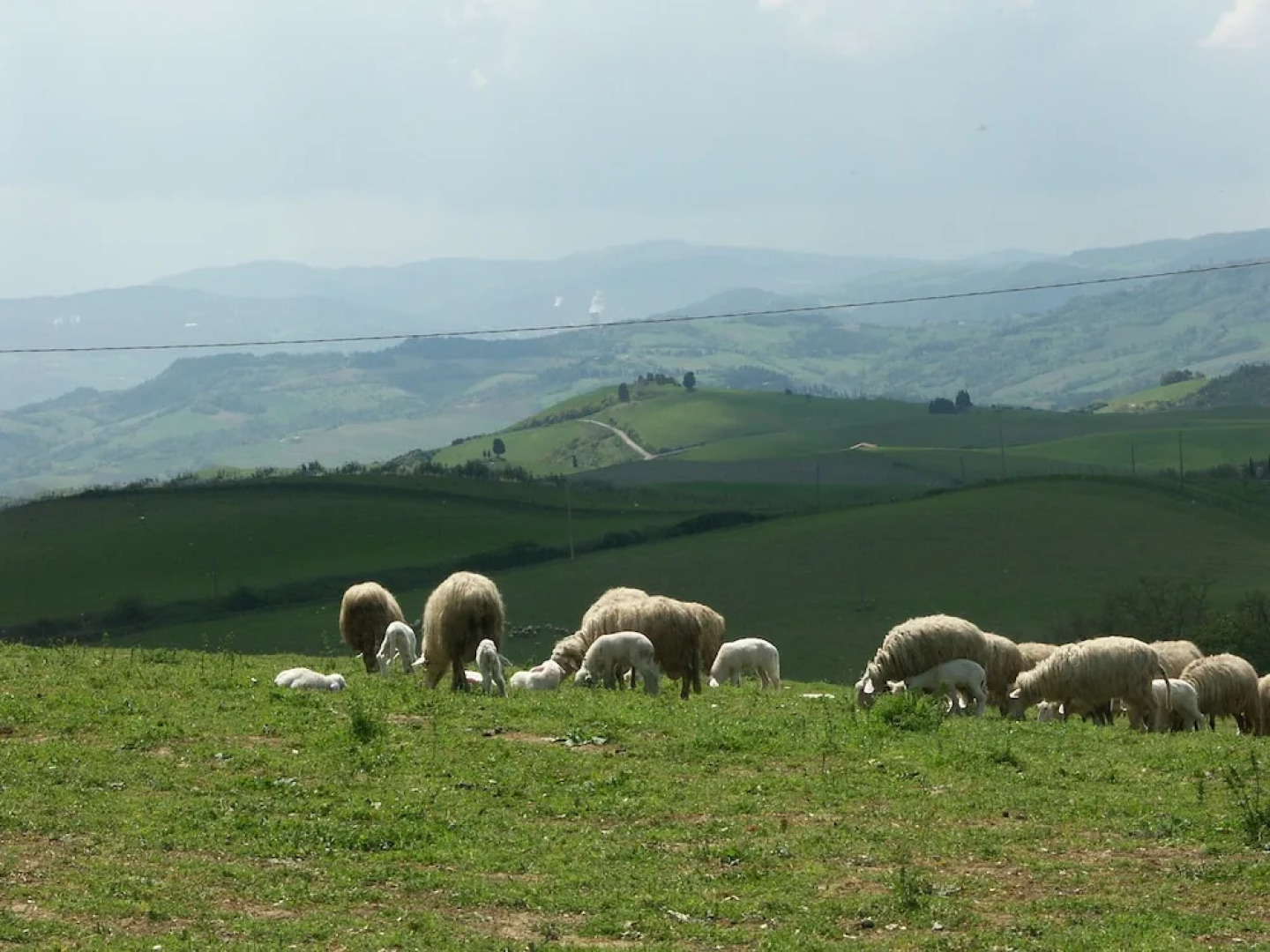 Villa Palagione Centro Interculturale