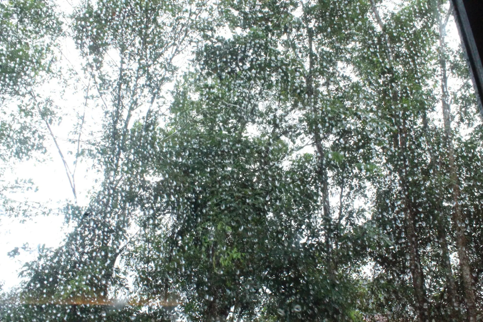 Hotel Harmony In Pontianak