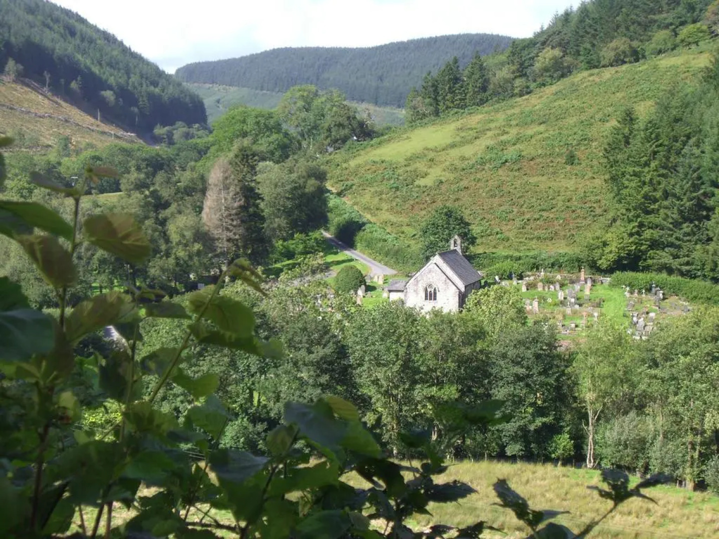 Home Stay at Lledgwial