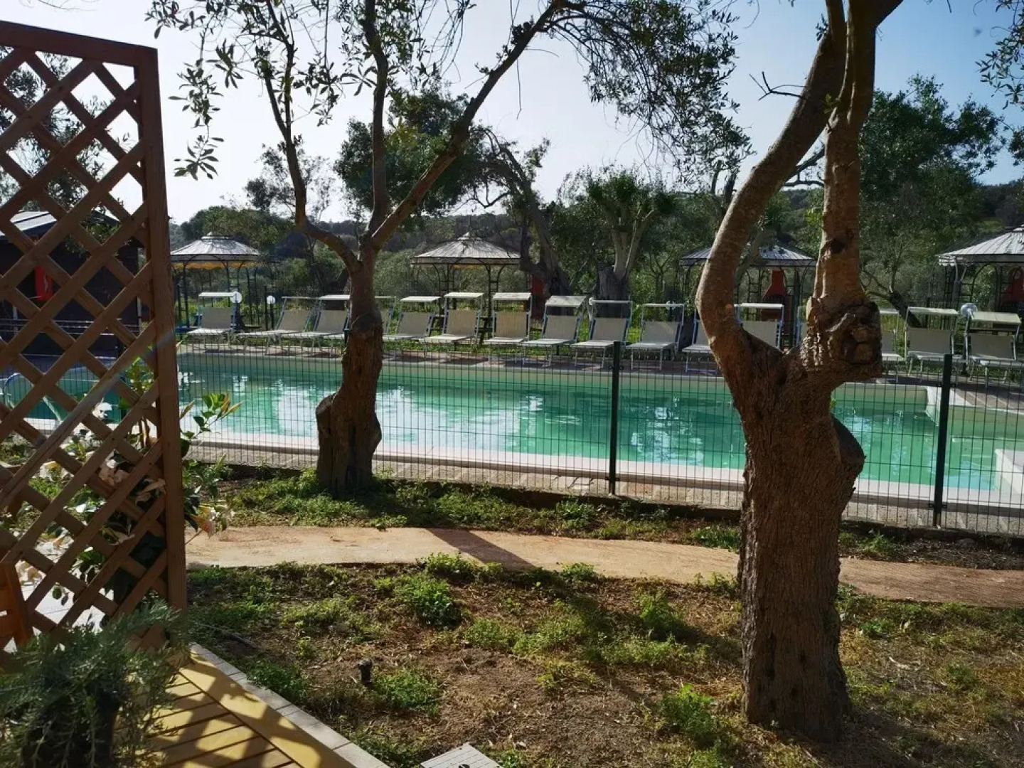 la corte degli ulivi