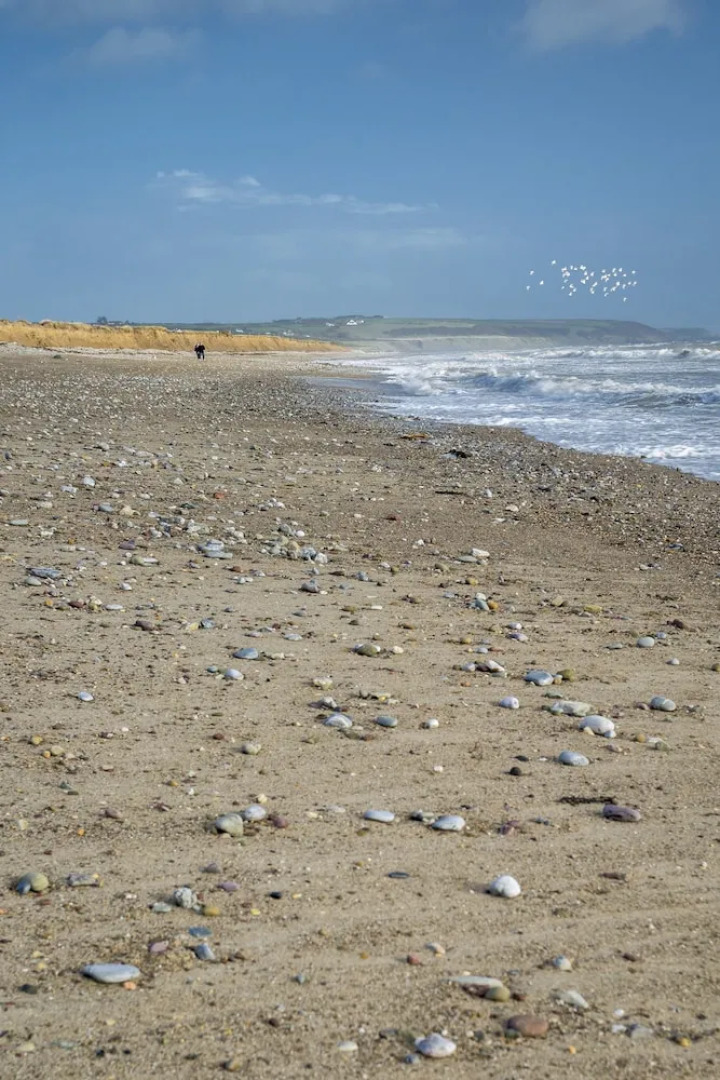 Garryvoe Beach Homes