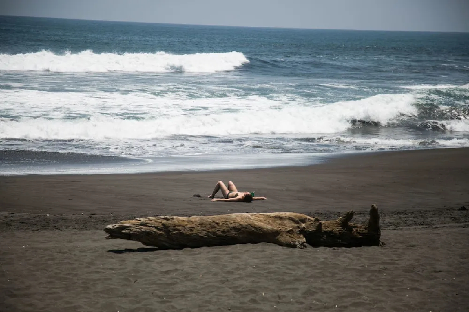 The Driftwood Surfer