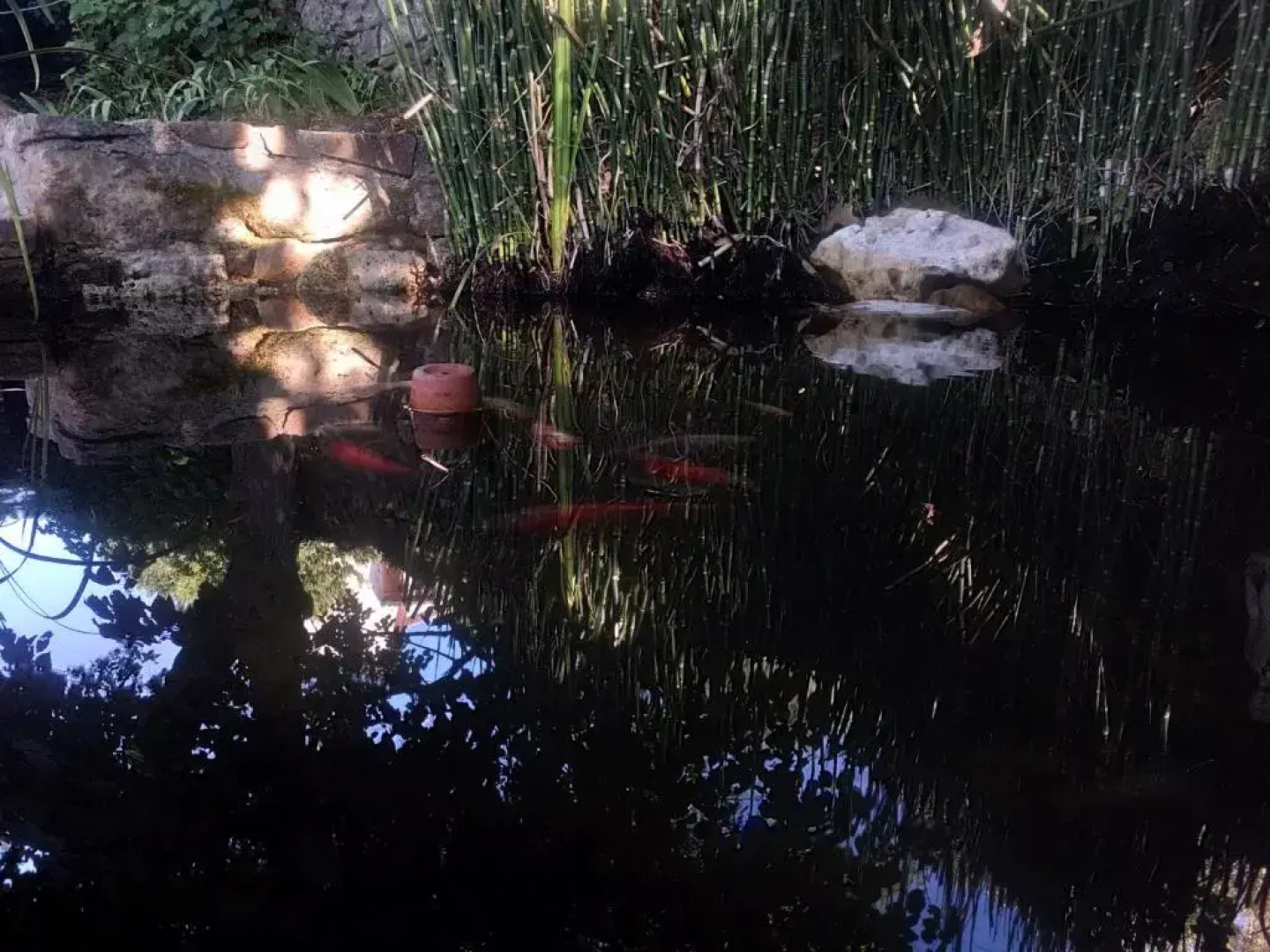 Les Jardins d'Arbousse