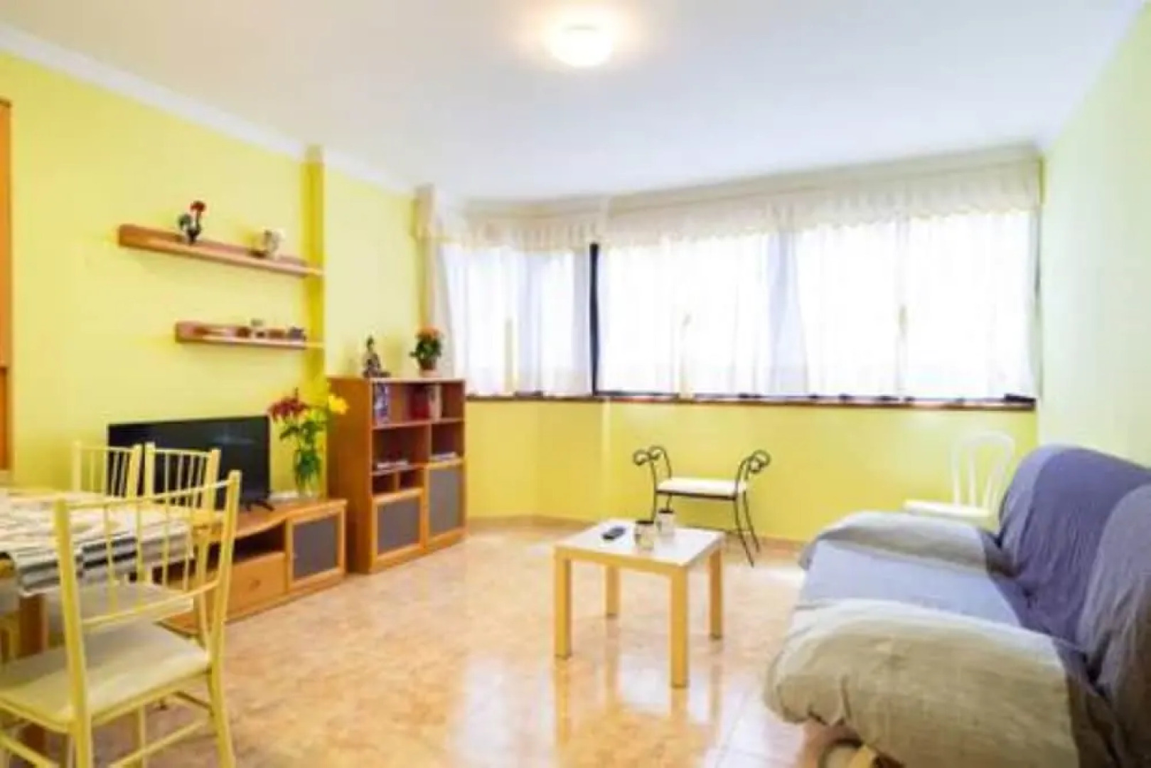 Sea Stars Las Canteras