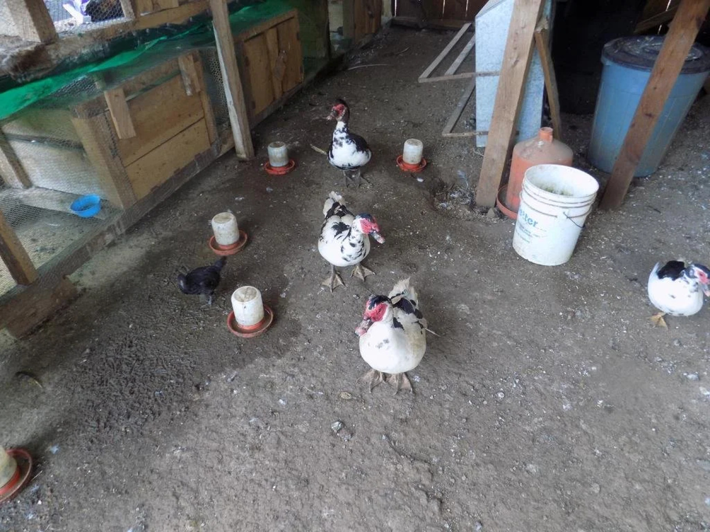 Rancho Hostal La Escondida Eco Park