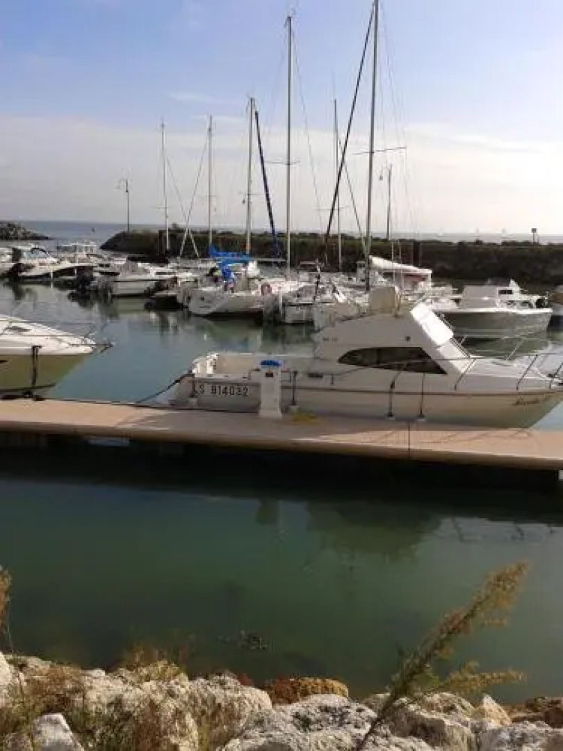 Holiday Home Avenue De La Palmyre - 21