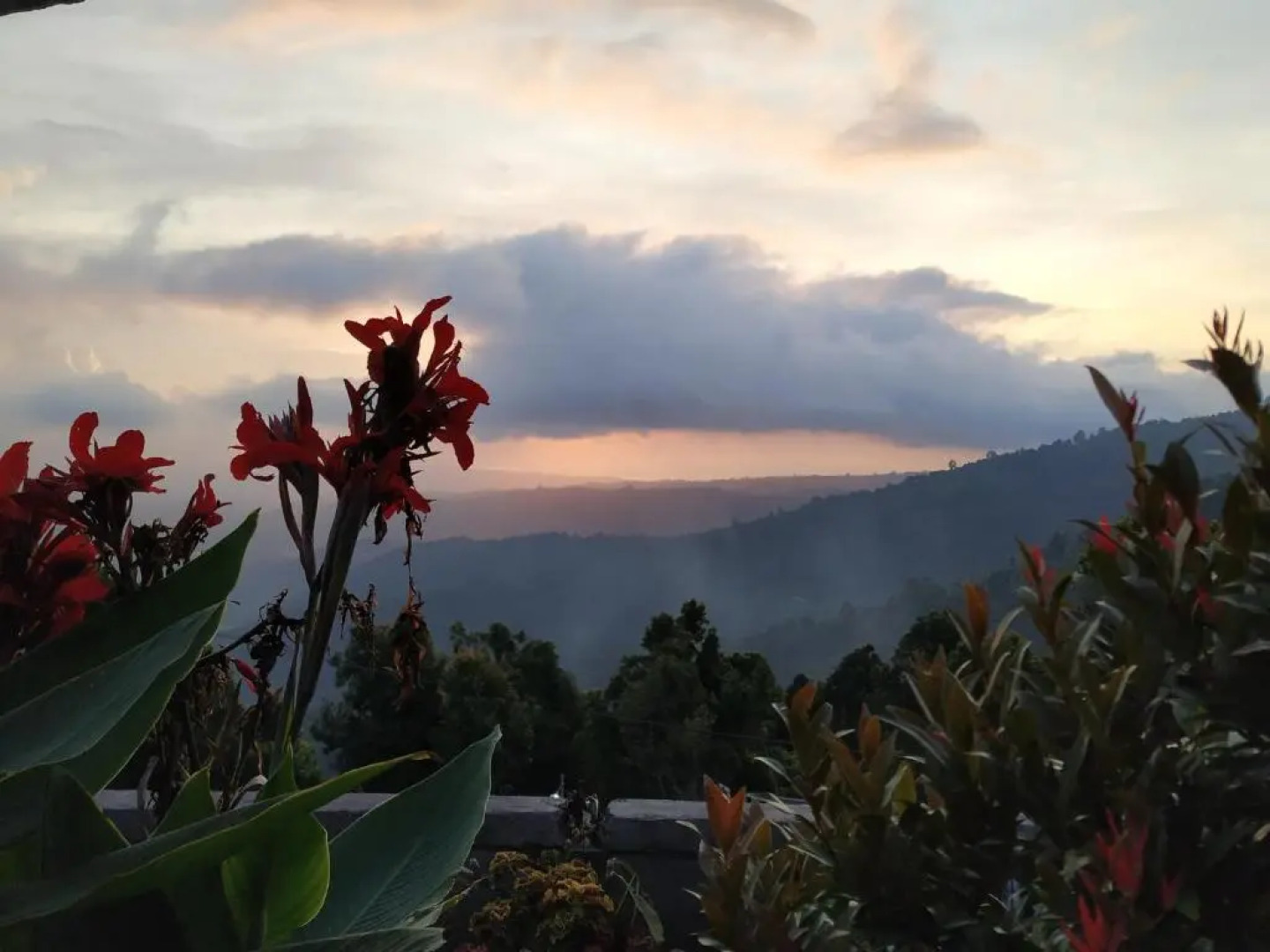 Puri Sunset Homestay