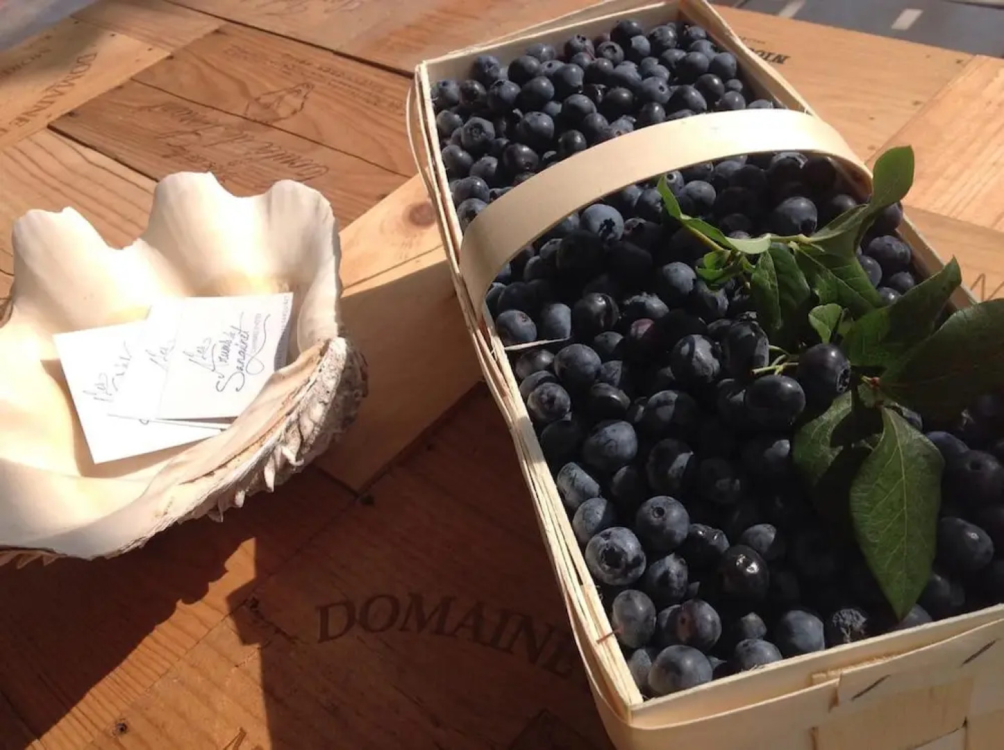 B&B Les Arums de Sanguinet