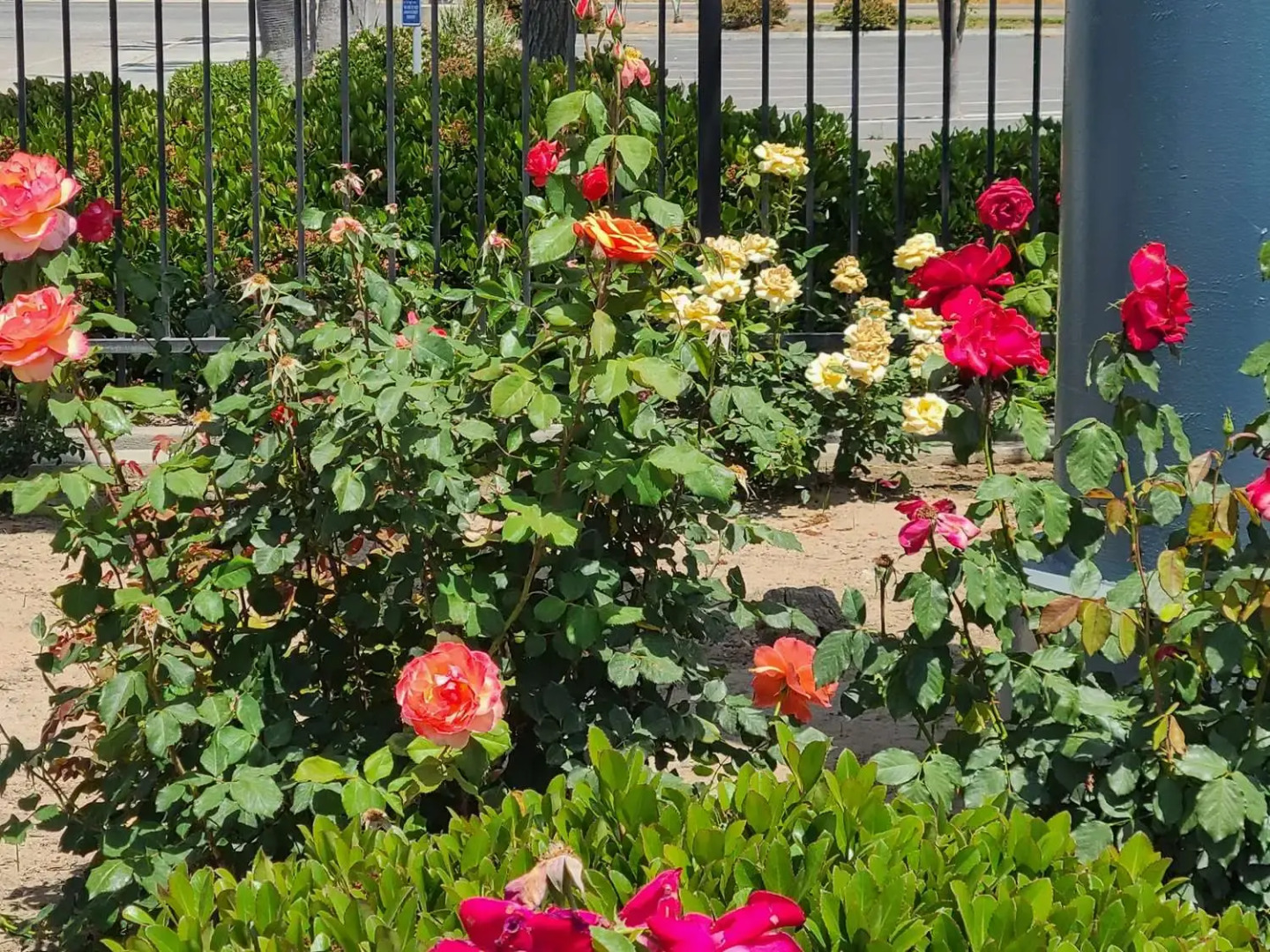 SureStay Hotel by Best Western Chowchilla Yosemite