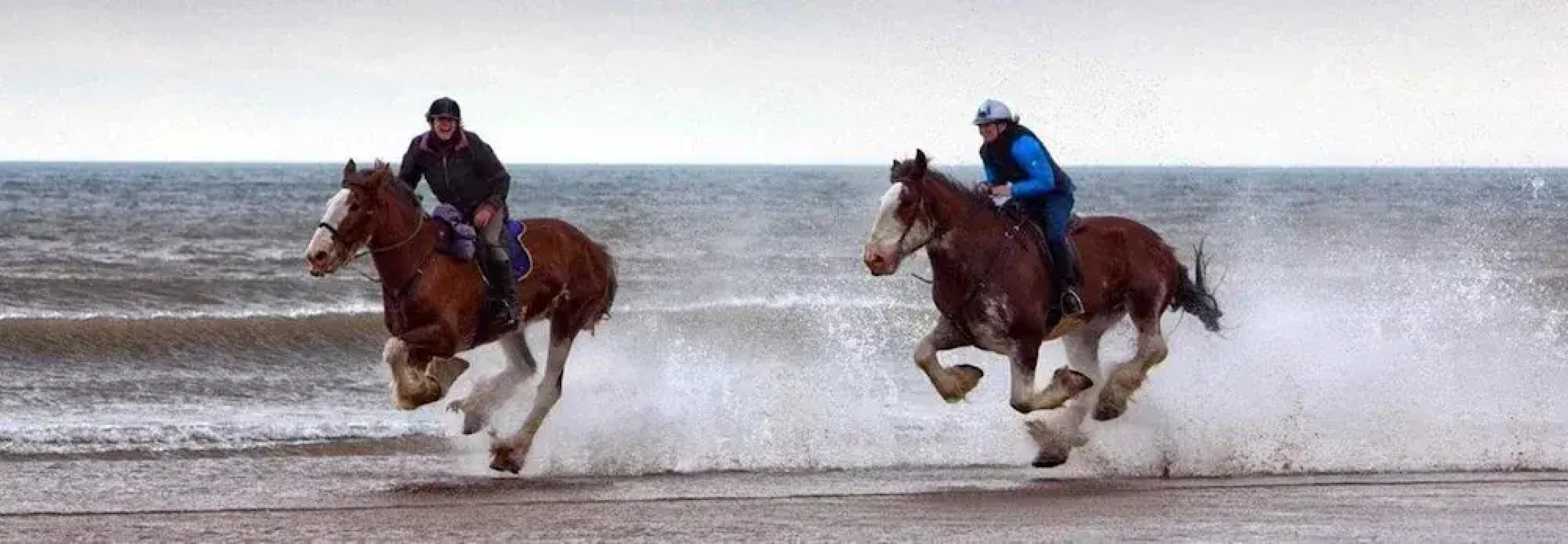 3 Bed Lodge - Sleeps 6 - Parking - Pets - Wifi