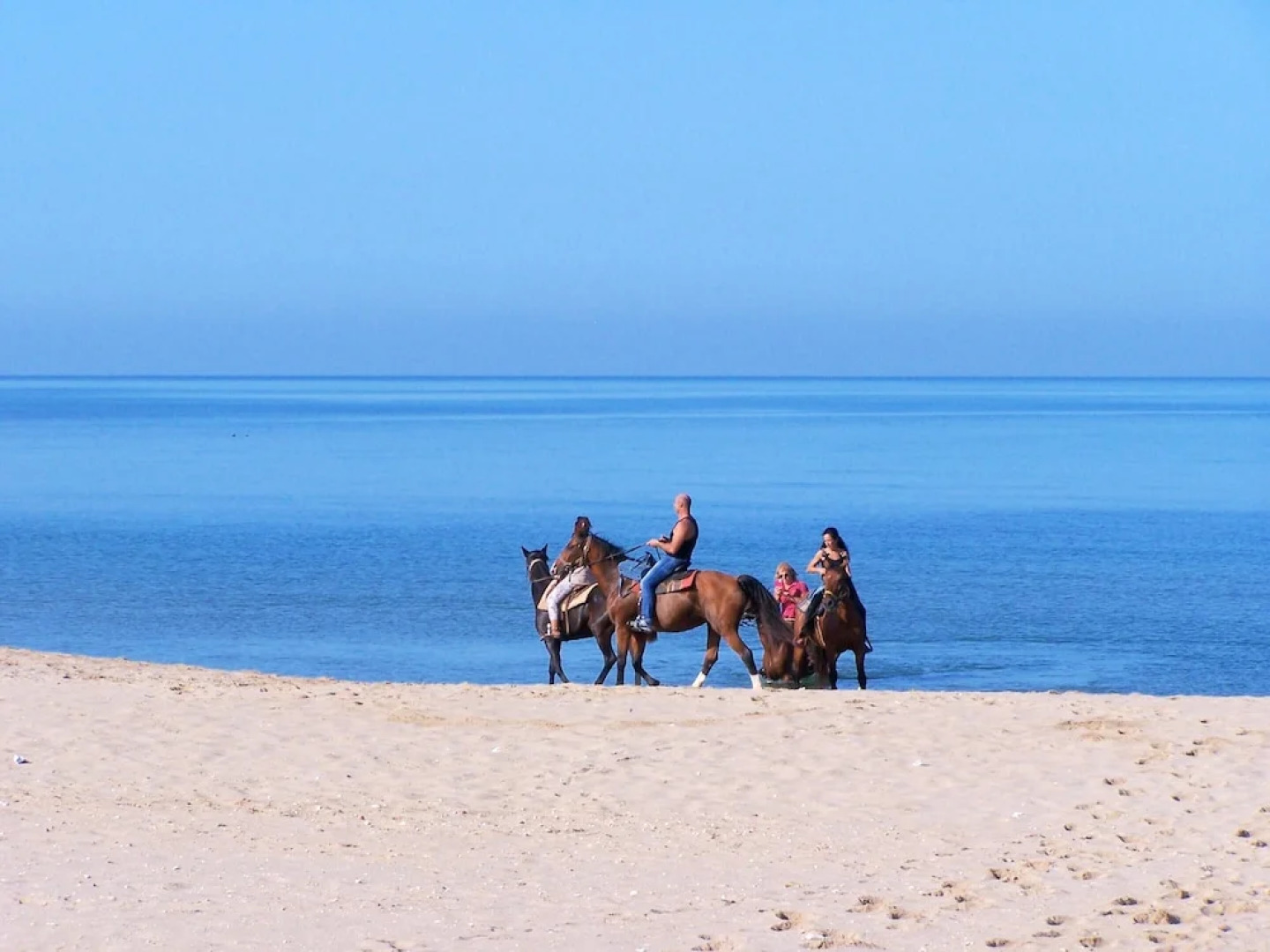 Villa With 5 Bedrooms in Vittoria, With Wonderful sea View, Private Pool, Enclosed Garden Near the Beach