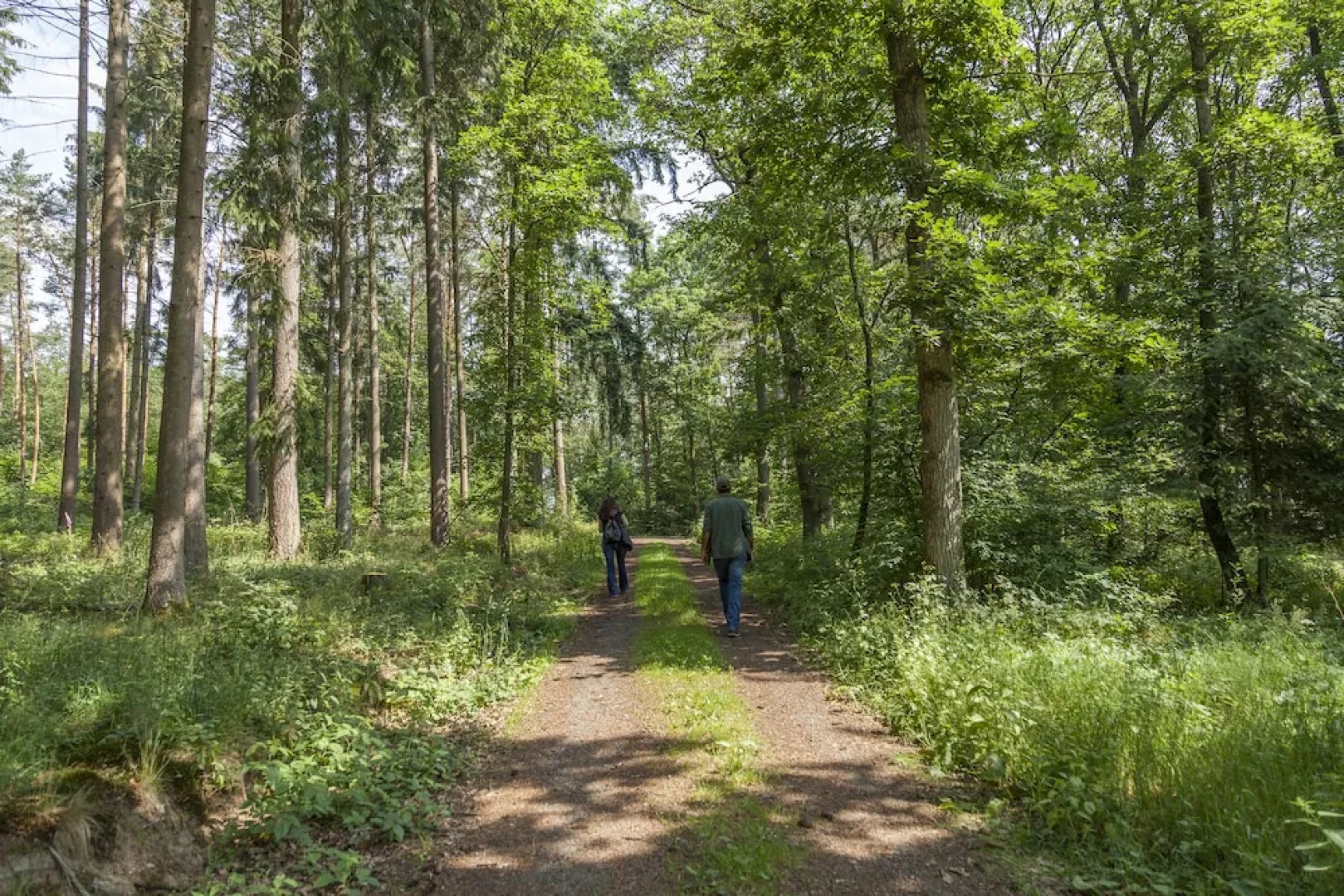 NaturMed Bad Endbach