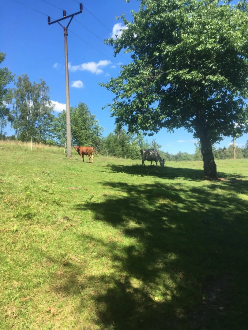 Penzion U Lucerny s malou farmičkou