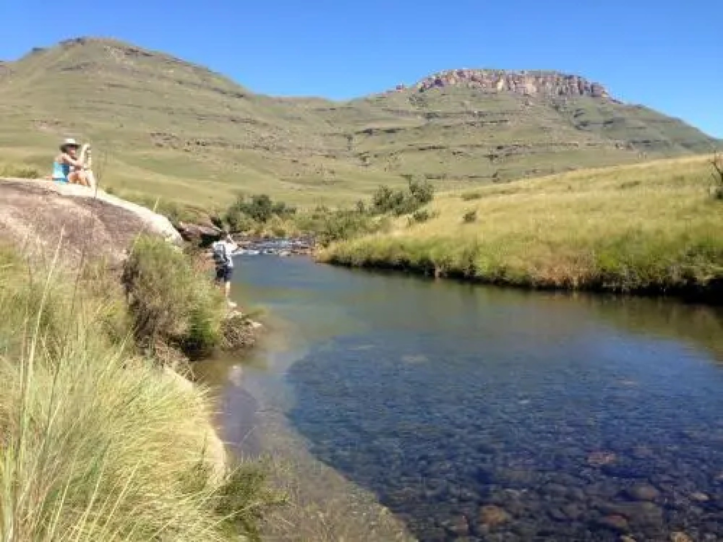 Willowbrooke Cottage