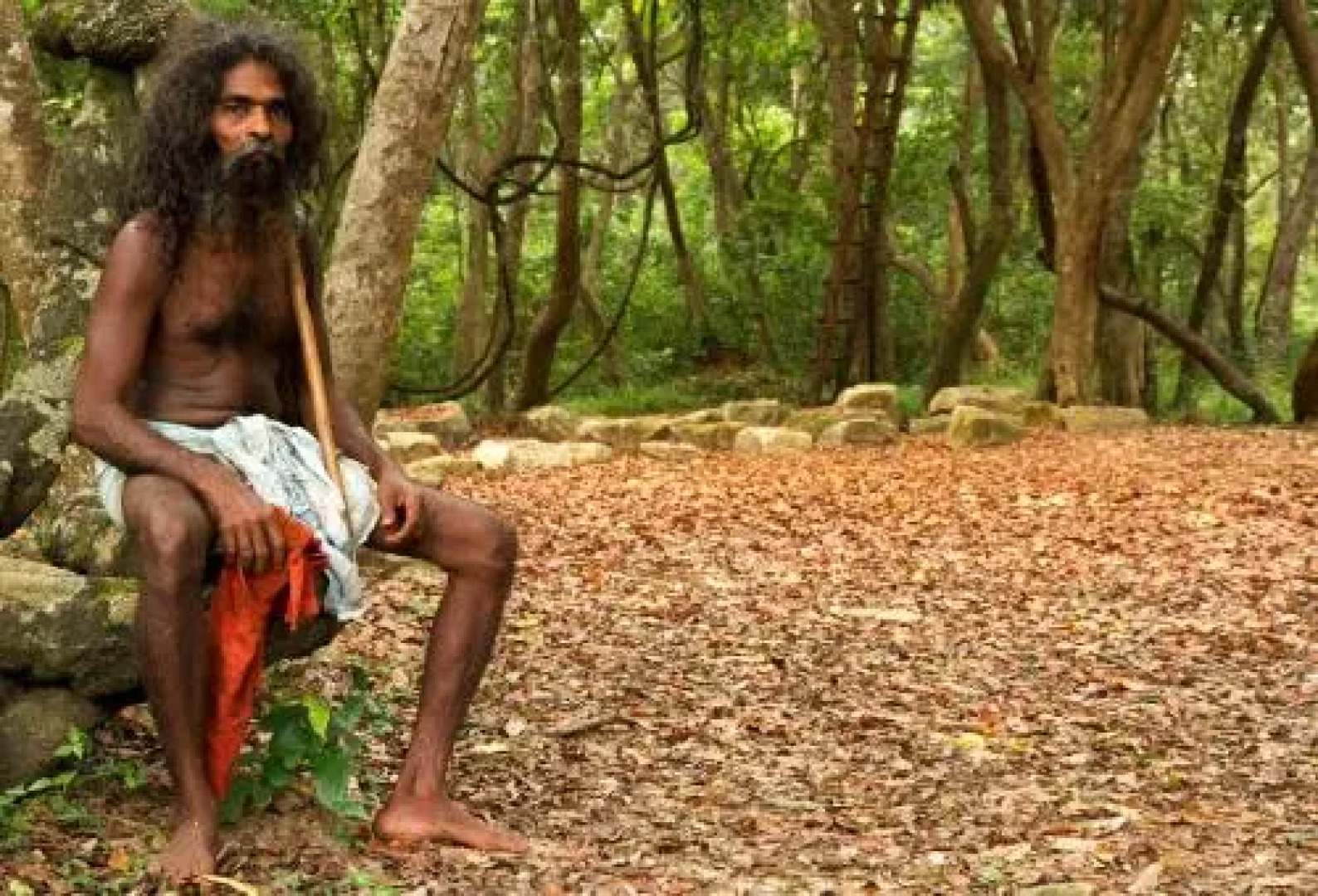 Mahoora Explorer - Dambana by Eco Team