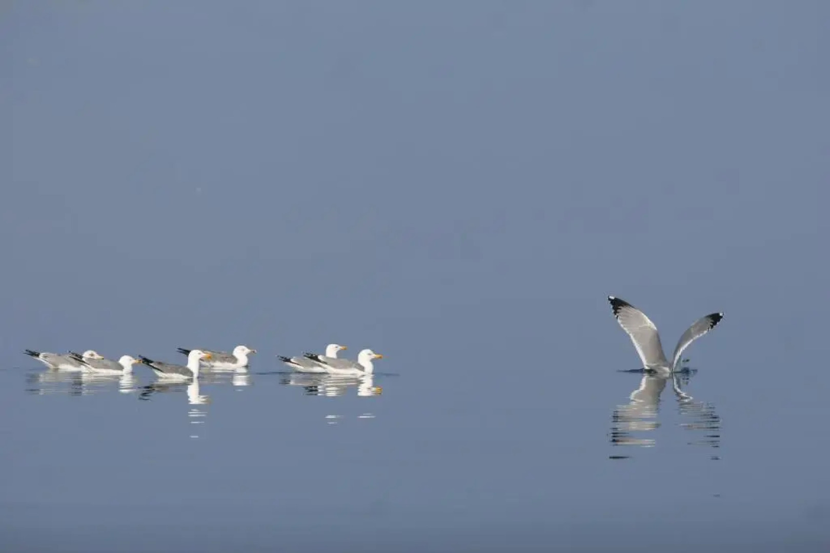 Villa Arca Adriatica