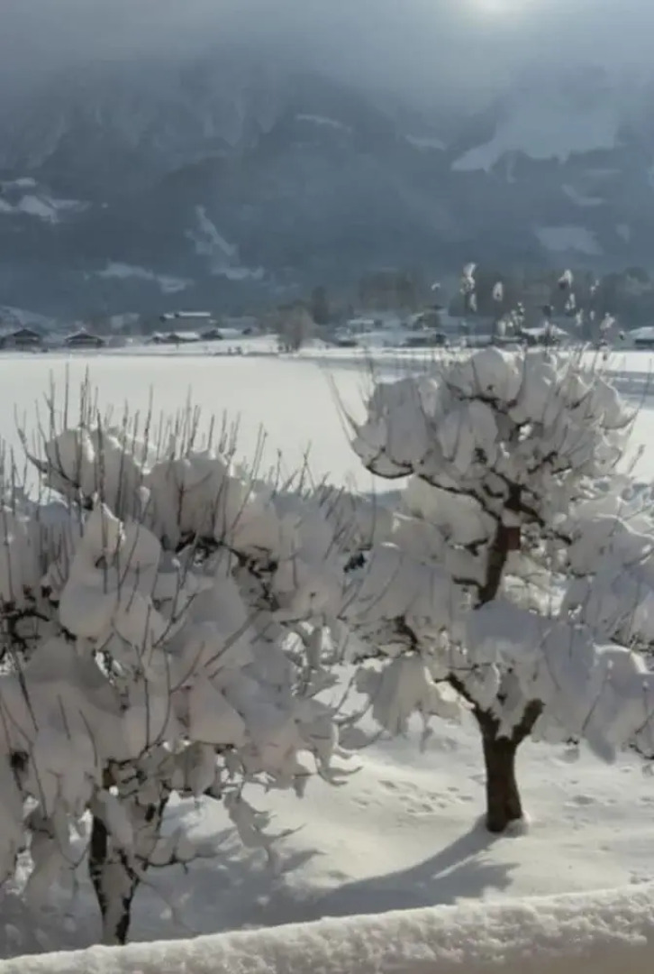 Kehlstein - Reich Family