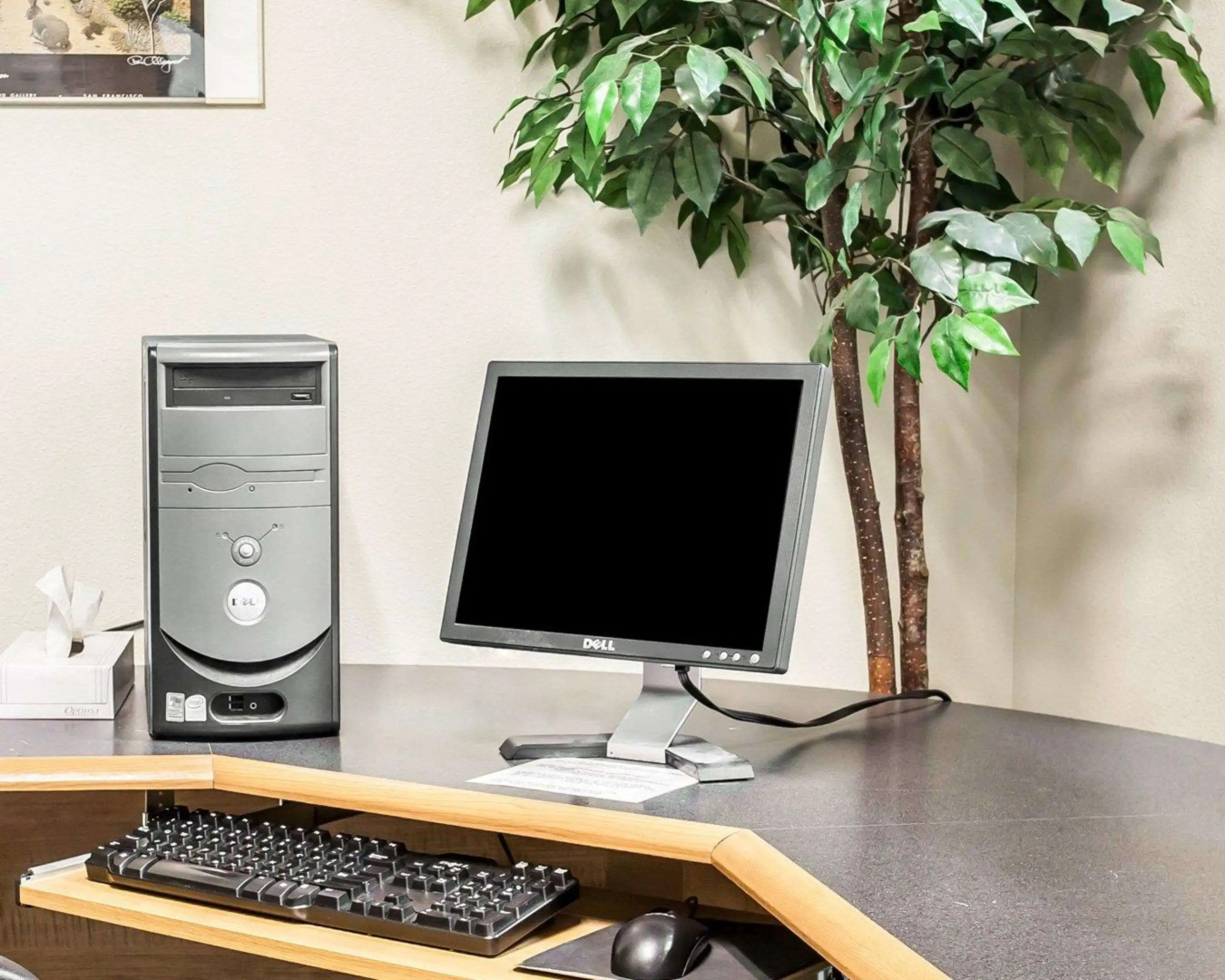 Rodeway Inn & Suites