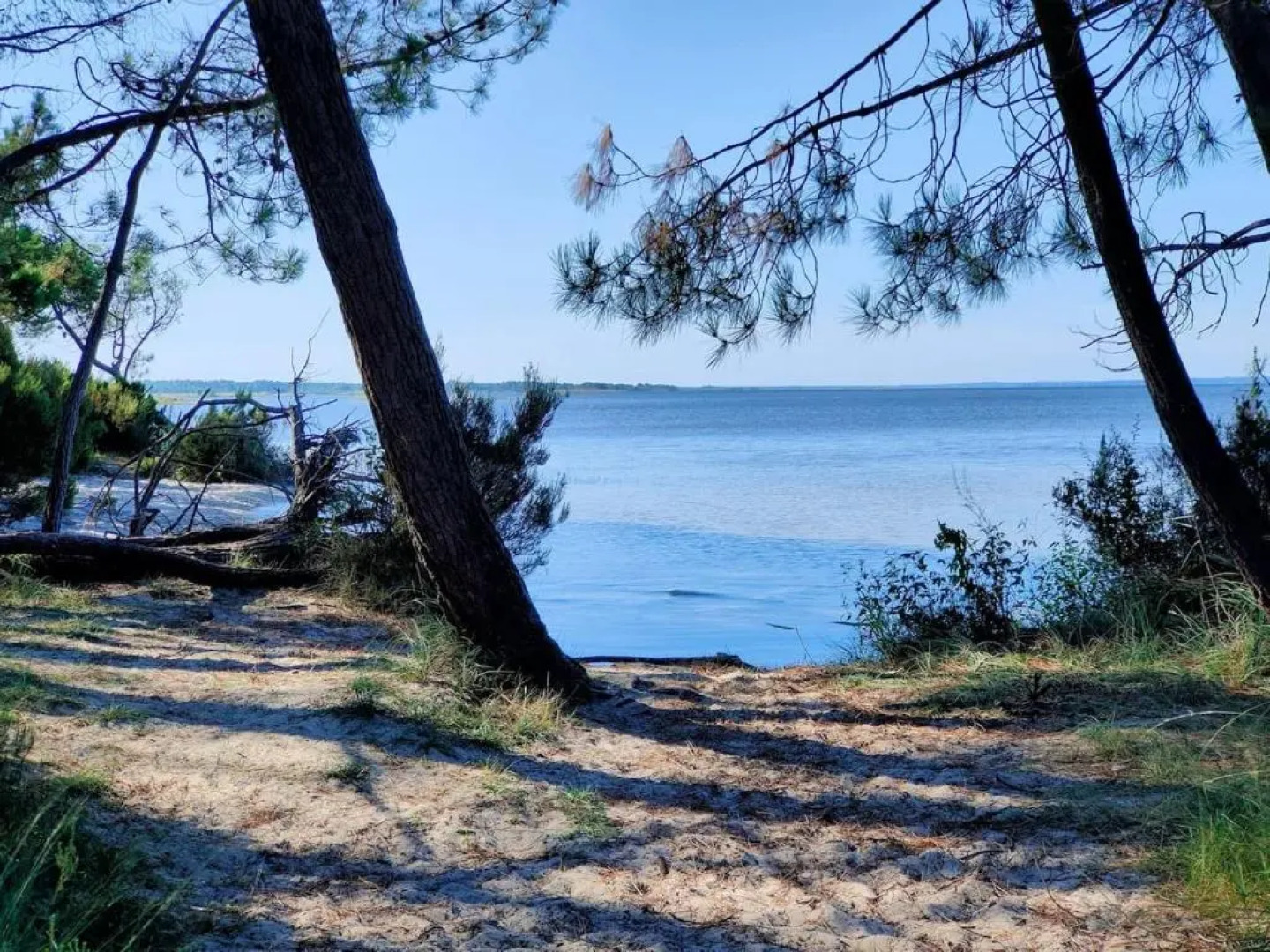 Maison de 2 chambres avec vue sur le lac piscine partagee et jardin a Hourtin