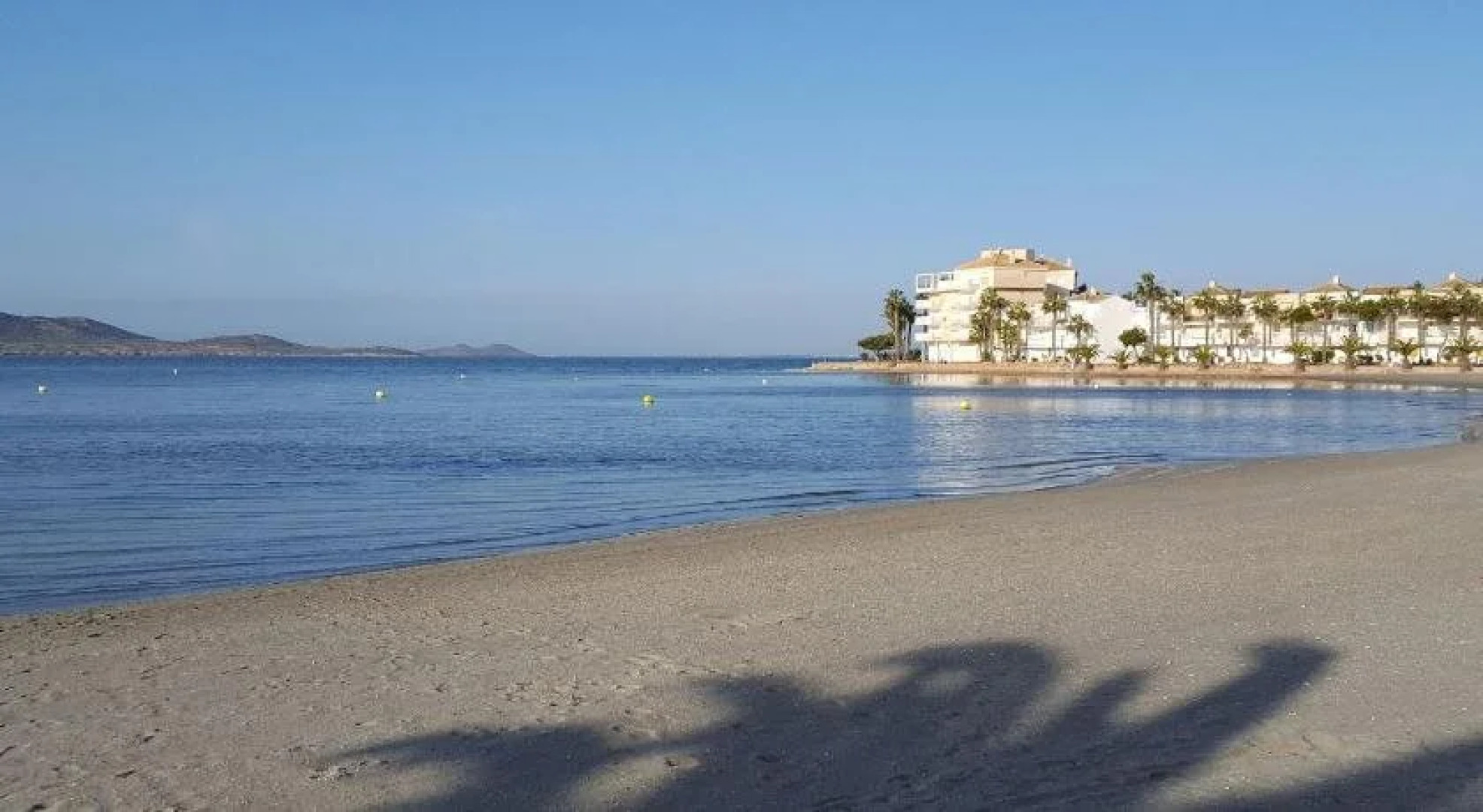 Pedruchillo Multiservicios Slne