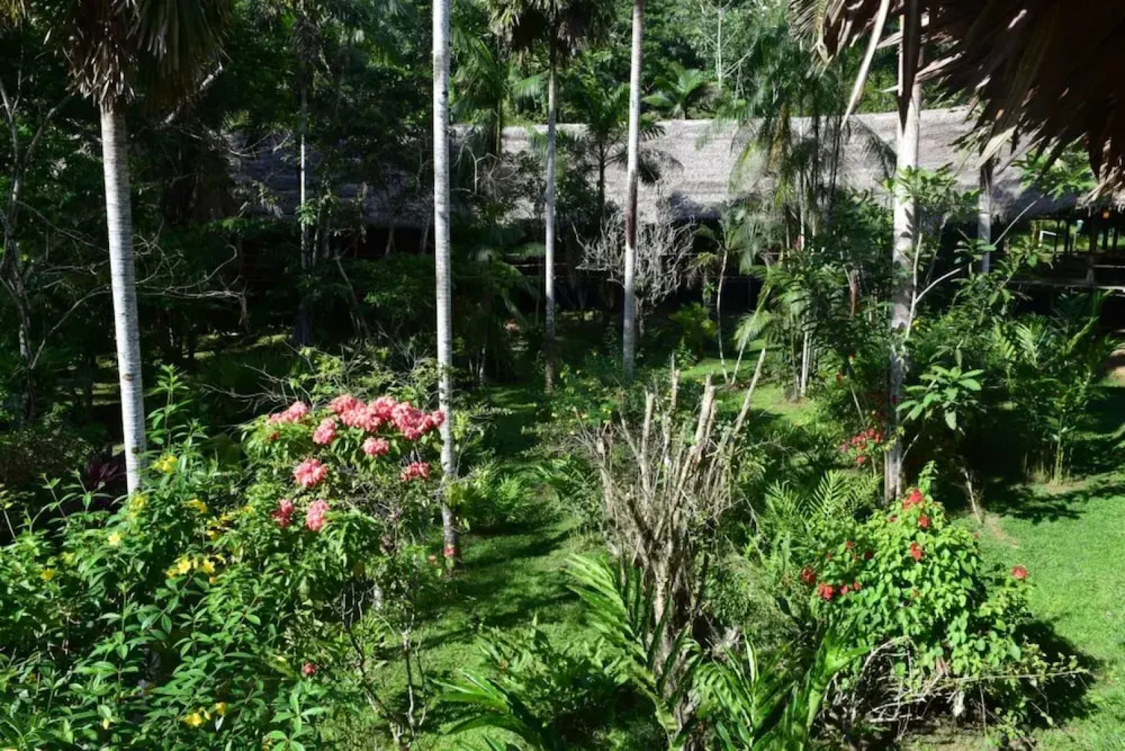 Explorama Lodge